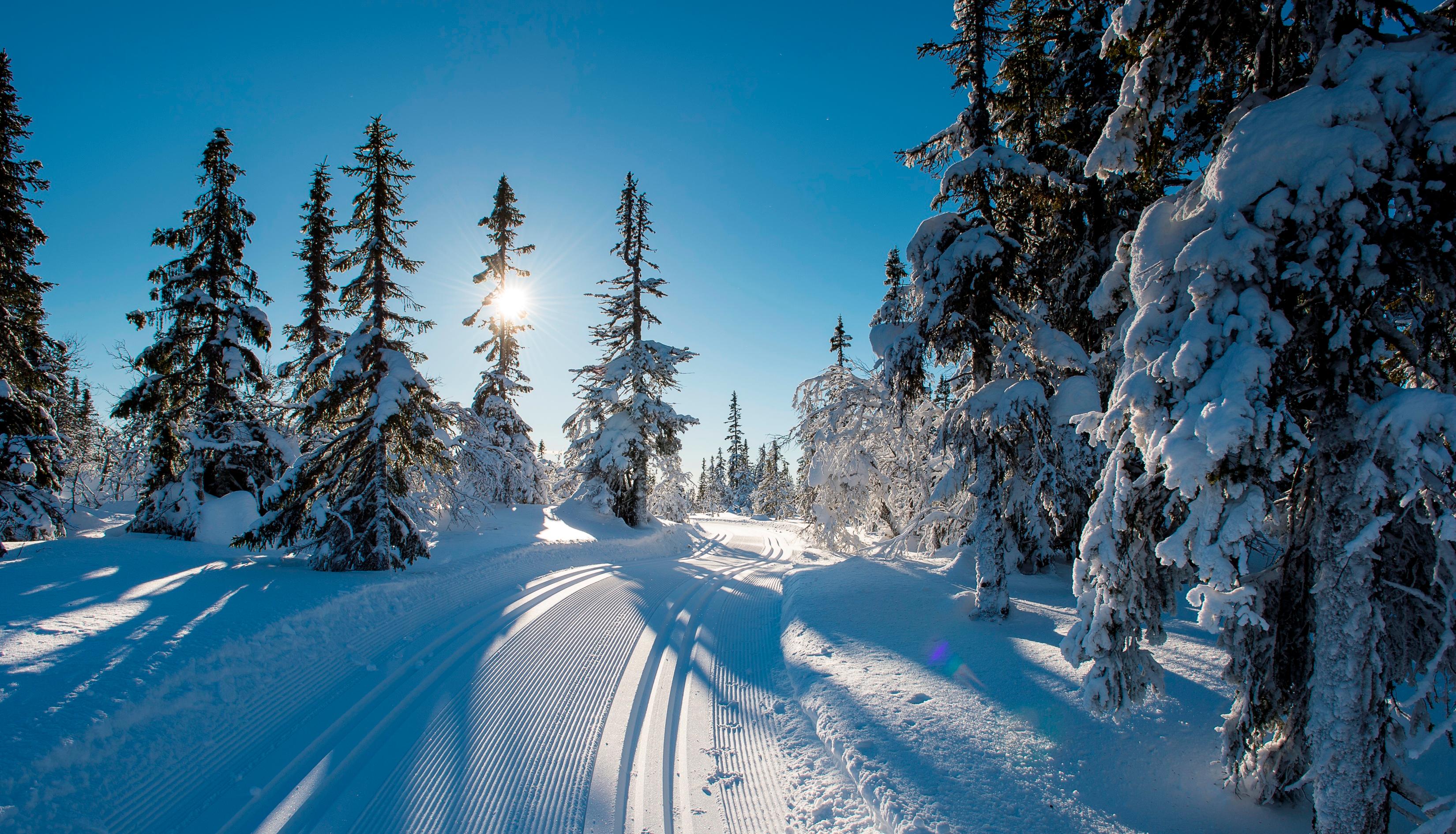 Skitur - foto Bjørn Stuedal