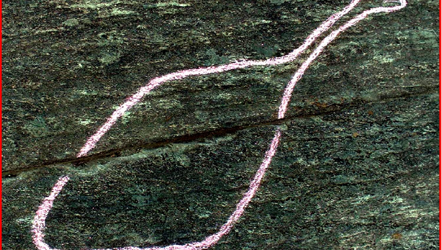 Helleristning "fuglen" på Bøla i Stod, Steinkjer