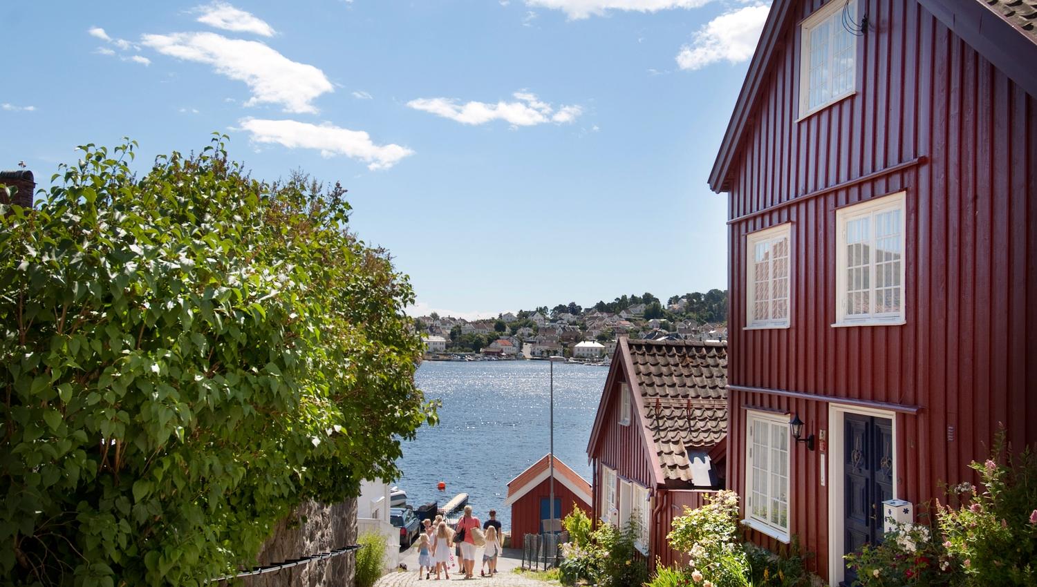 utsikten fra øverst i Kampebakken på Øvre Tyholmen ned mot sjøen