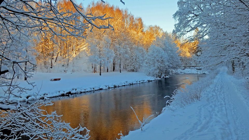 Vinterbilde av elva med snødekte trær.