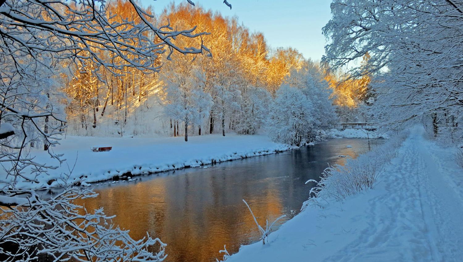 Vinterbilde av elva med snødekte trær.