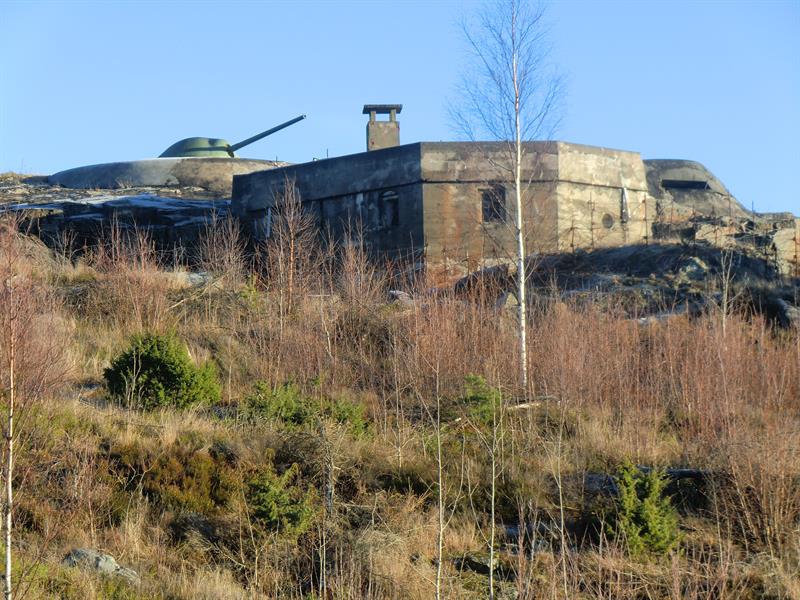 gammel bunker og kanon