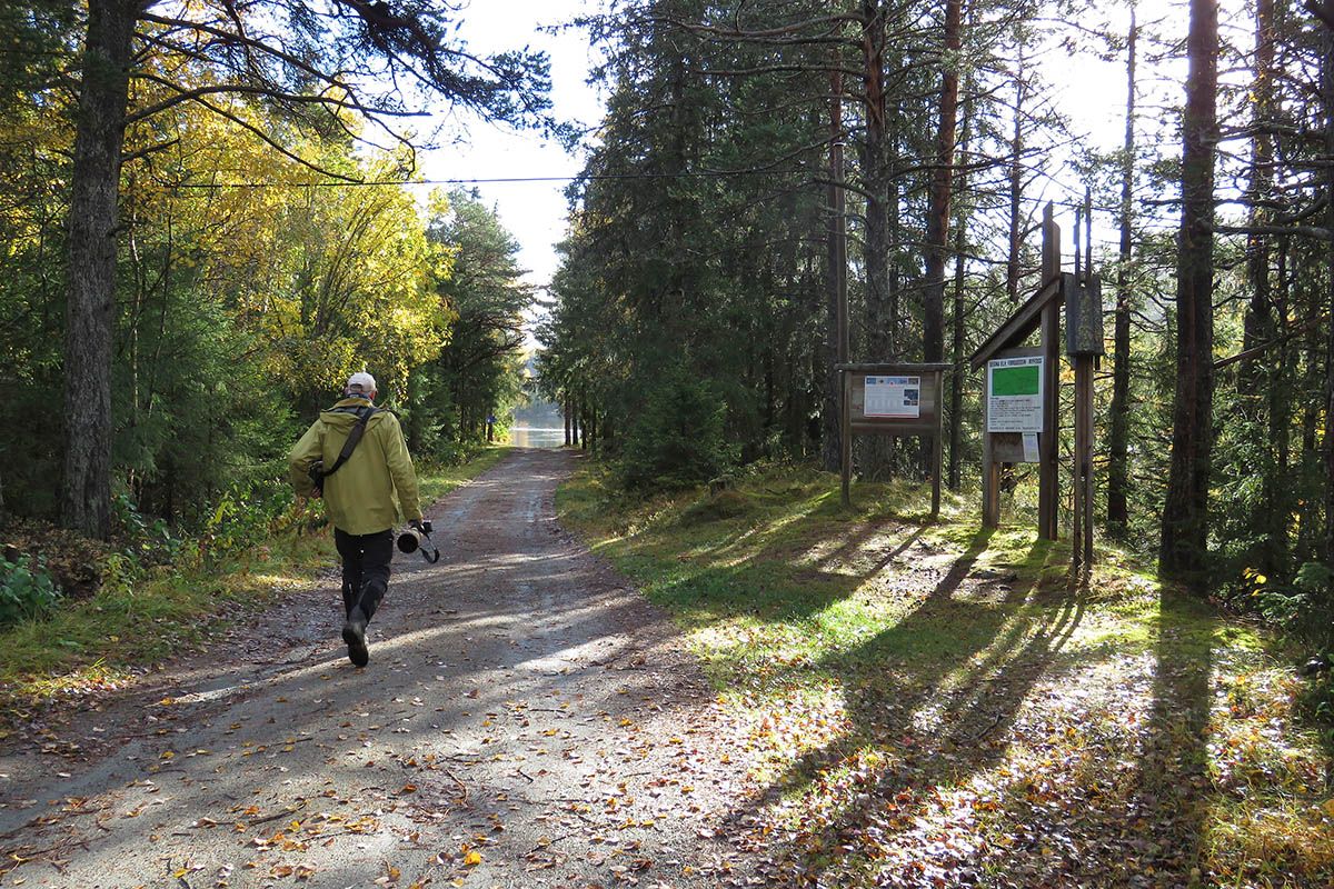 web_Lomendelta_IMG_9551