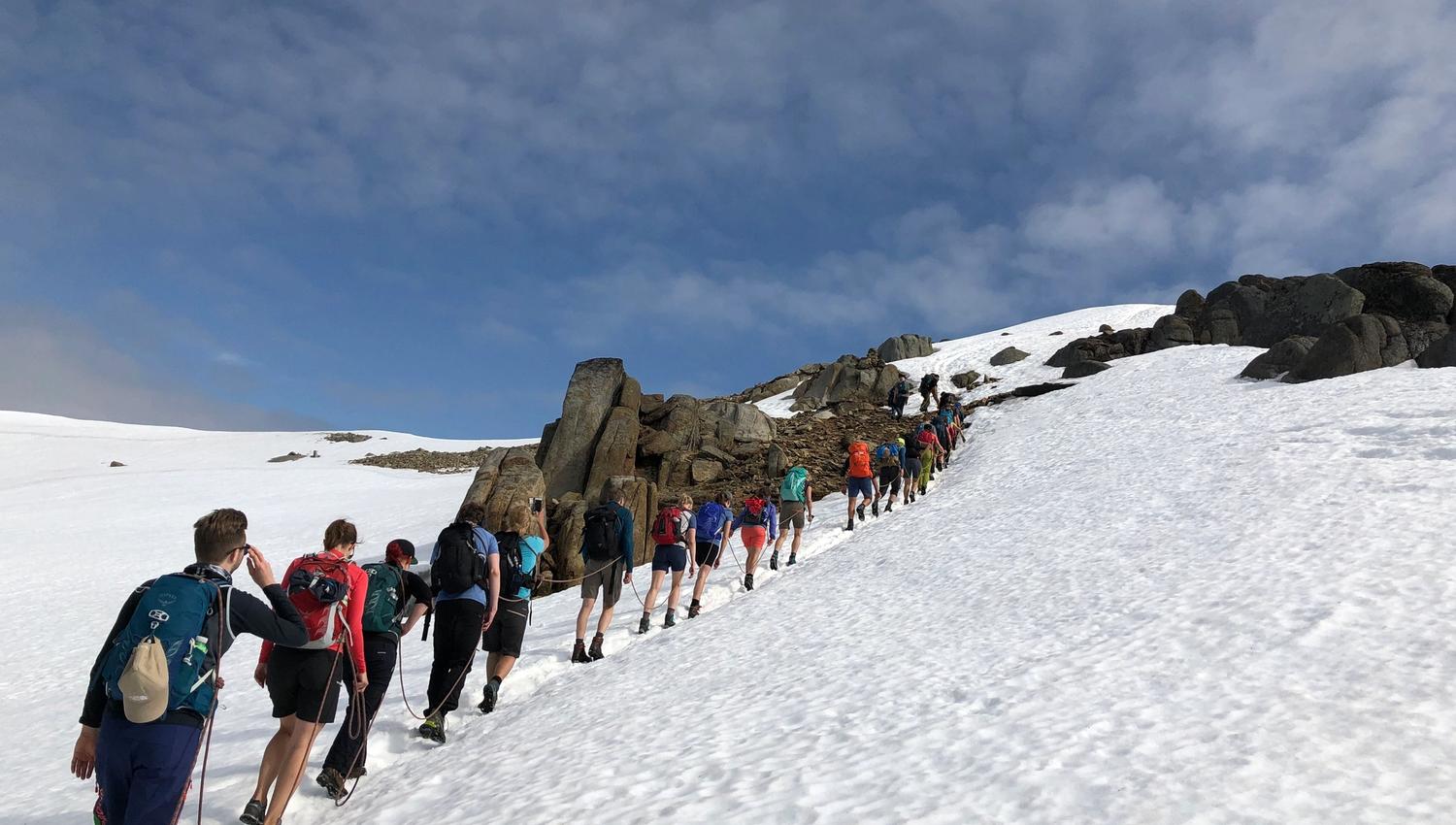 Møysaltur