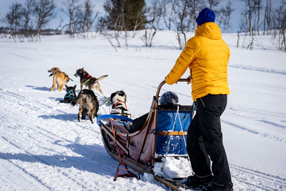 på hundesledetur med Telemark Husky Tour om vinteren