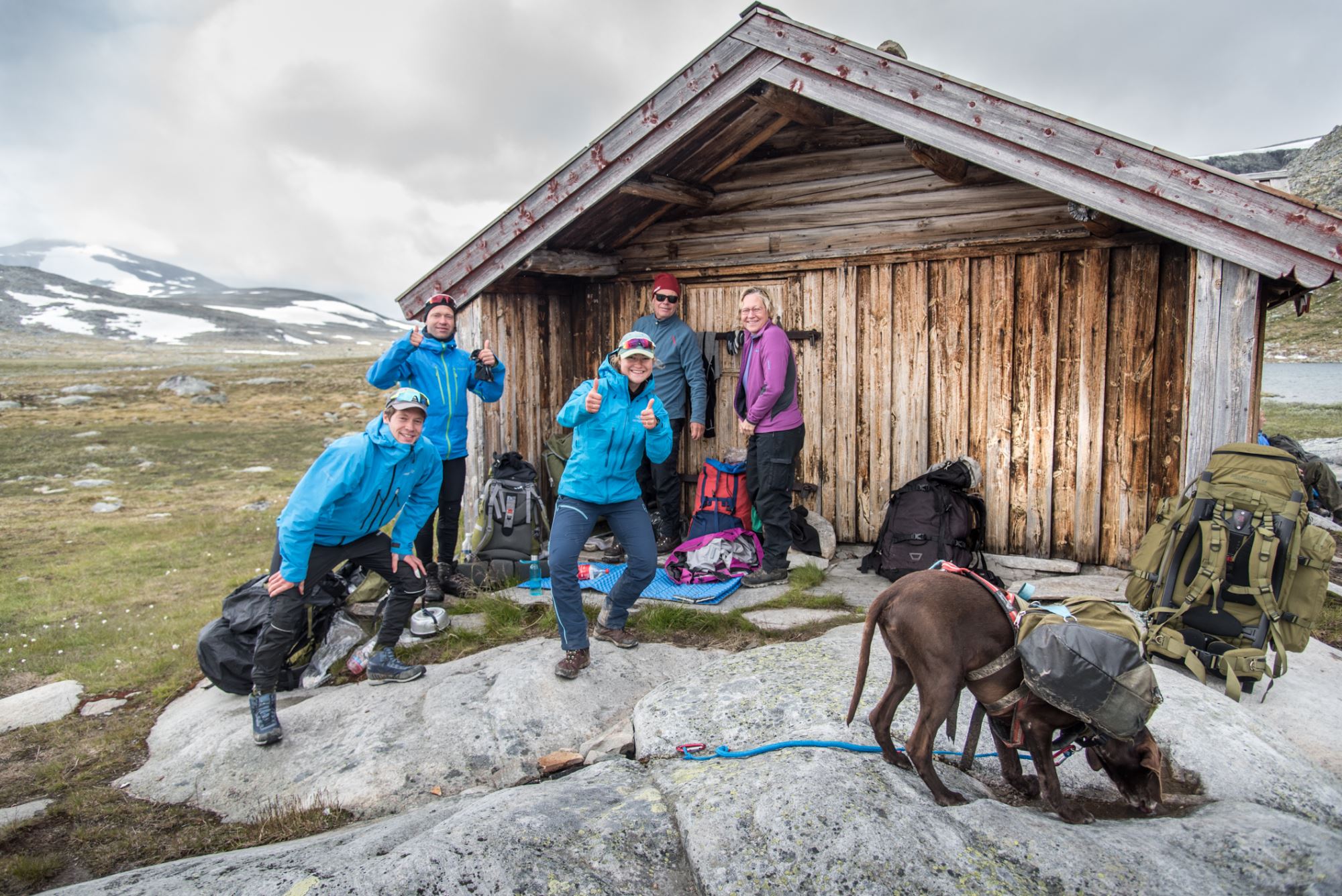 Moskussafari m/personlig guide, 2 dager