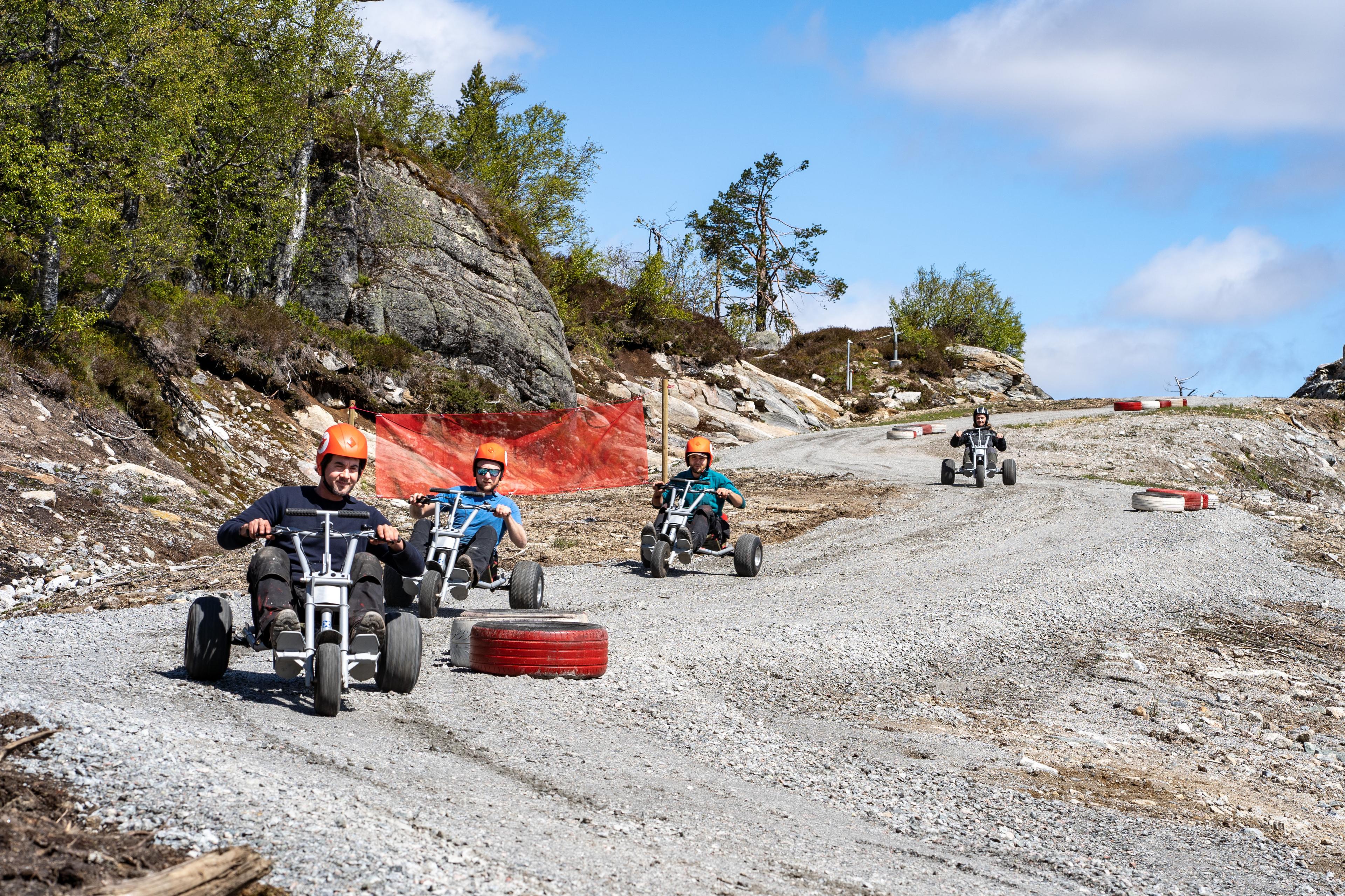 Mountain Cart Sirdal Resort