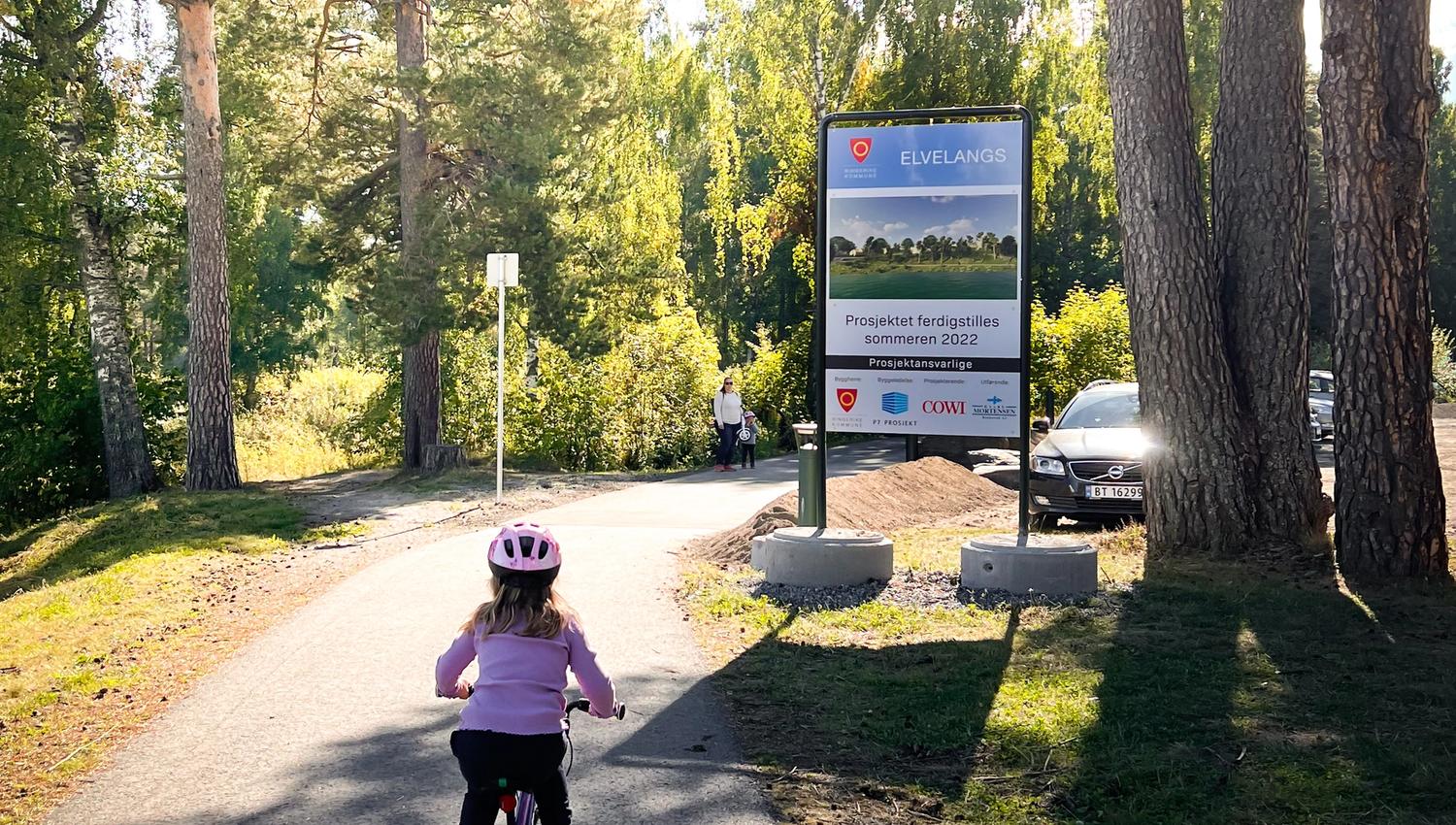 Elvelangs i Hønefoss