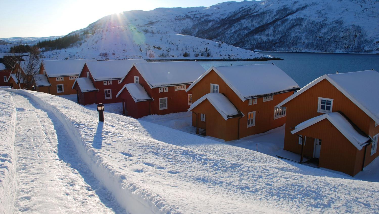Lauklines in winter