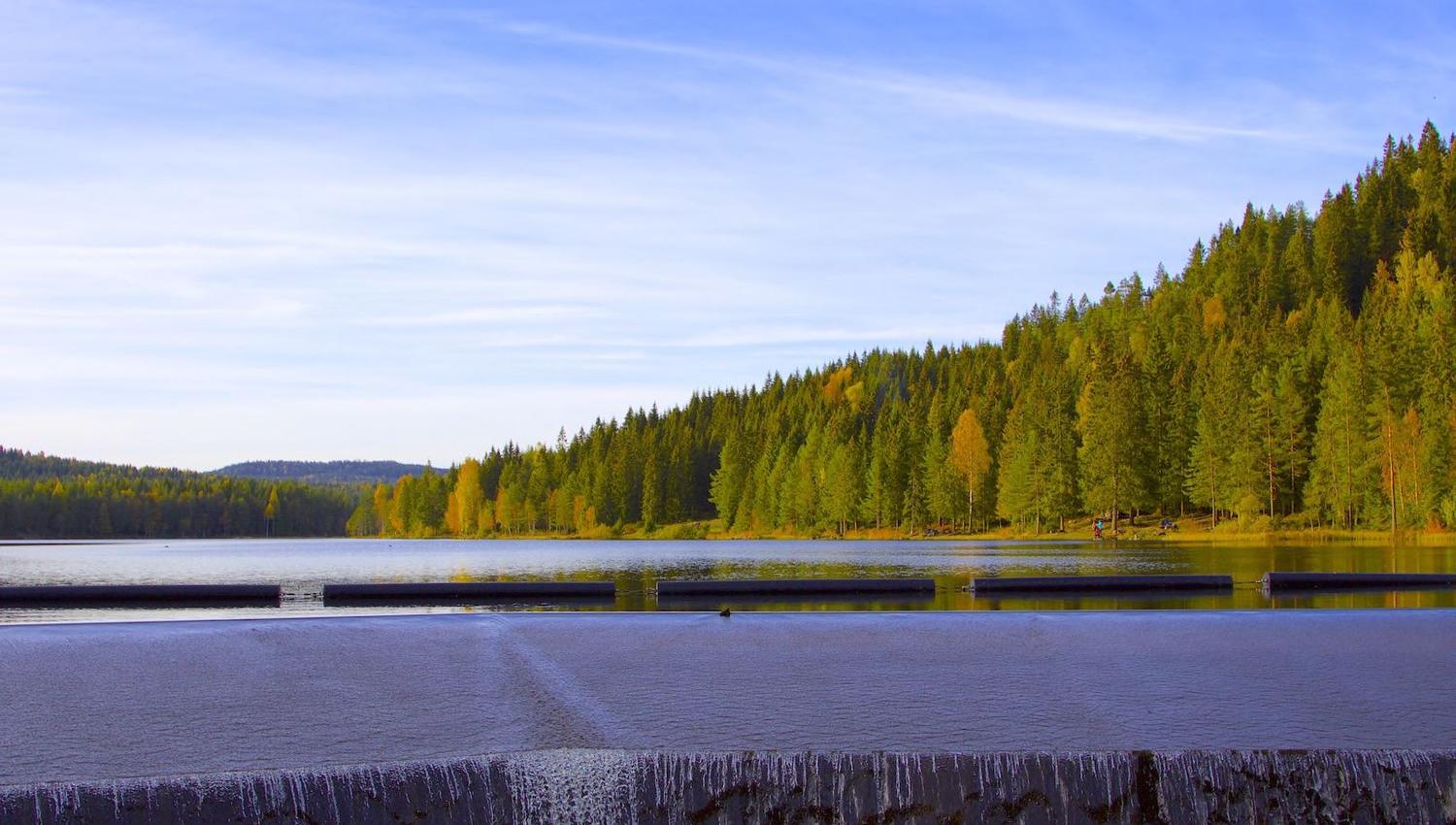 demningen