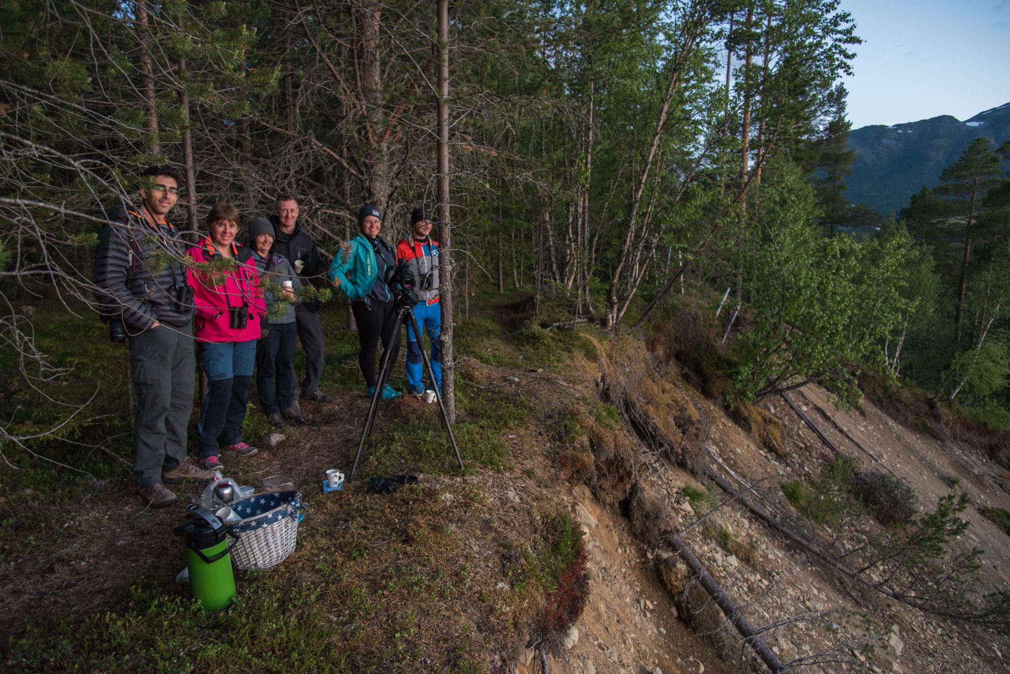 Elgsafari: Møt skogens konge!