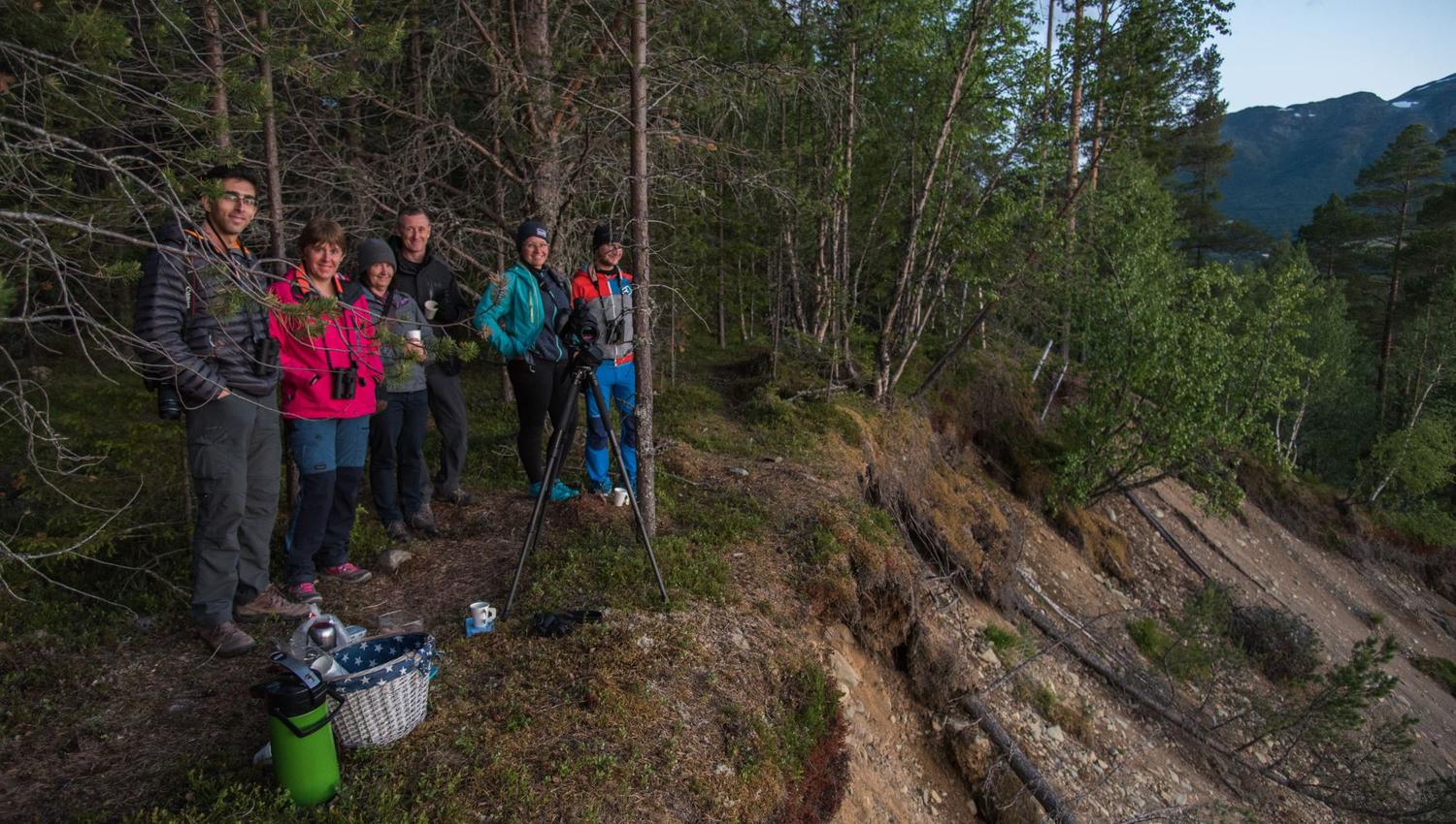 Elgsafari: Møt skogens konge!