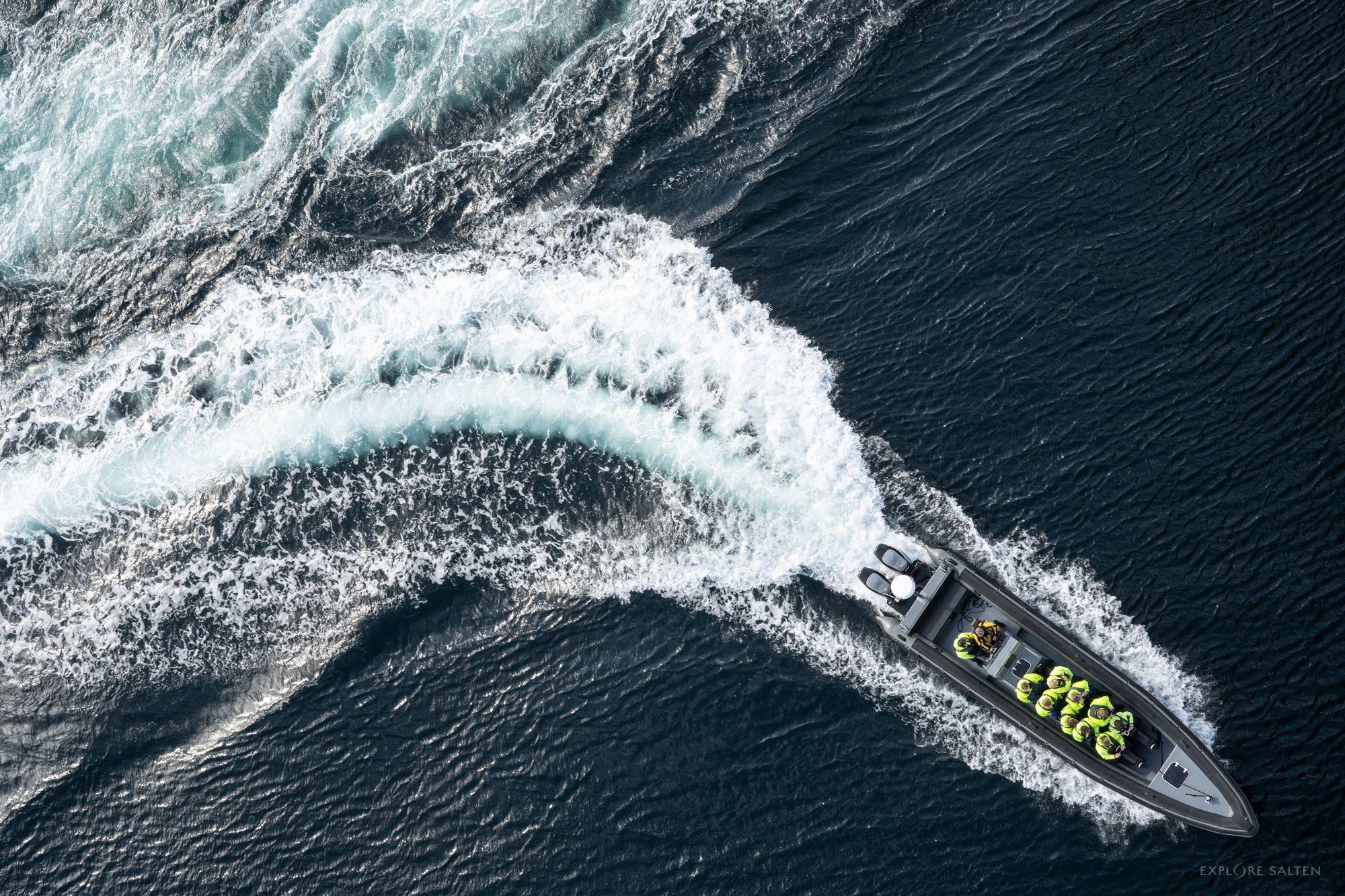 RIB til Saltstraumen med havørnsafari - Explore Salten