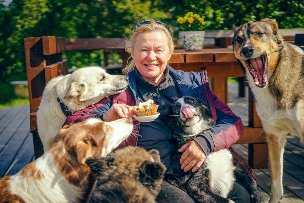 A lady with many dogs around