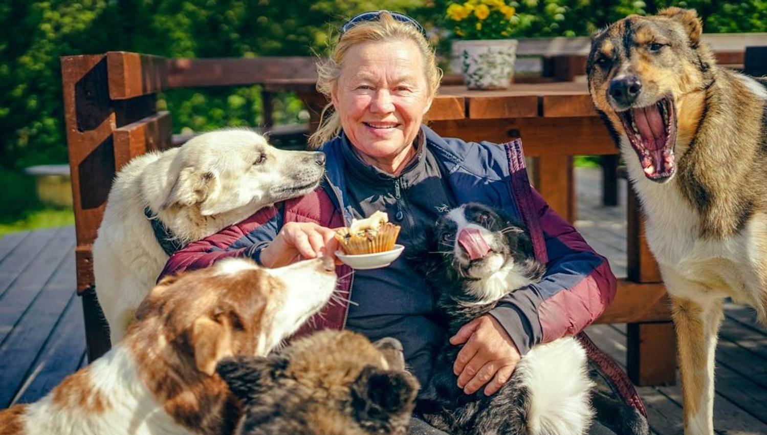 A lady with many dogs around