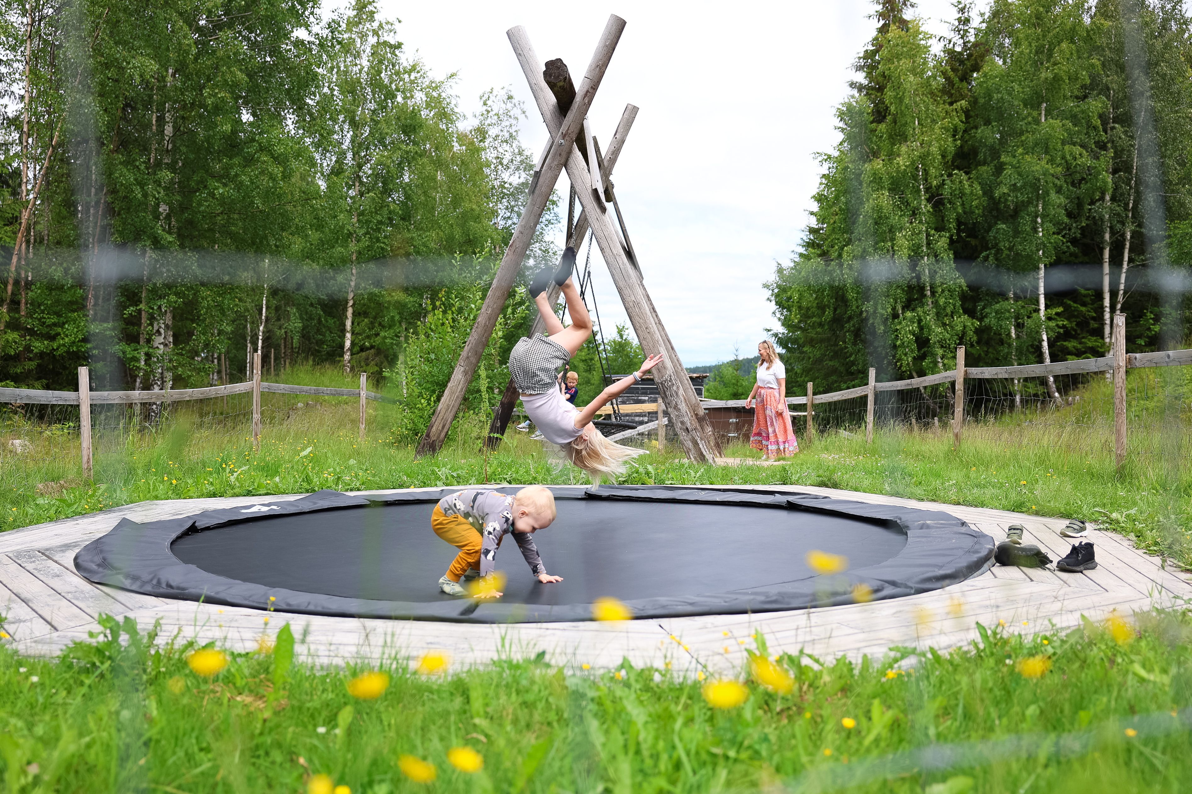 Children walking across a wooden bridge surrounded by green forest in the nature park.