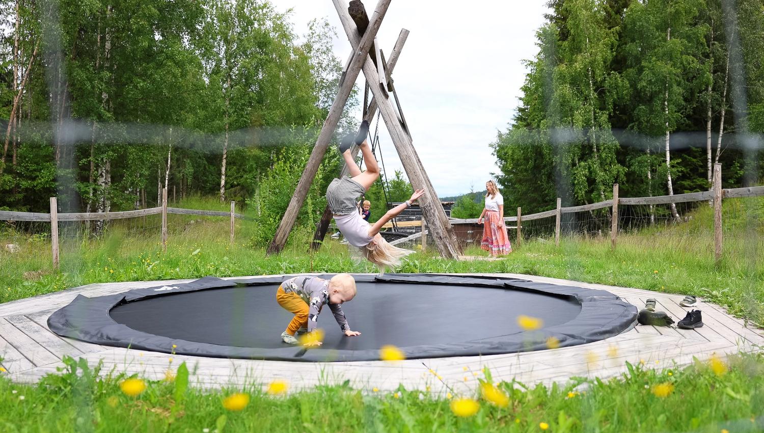 Children walking across a wooden bridge surrounded by green forest in the nature park.