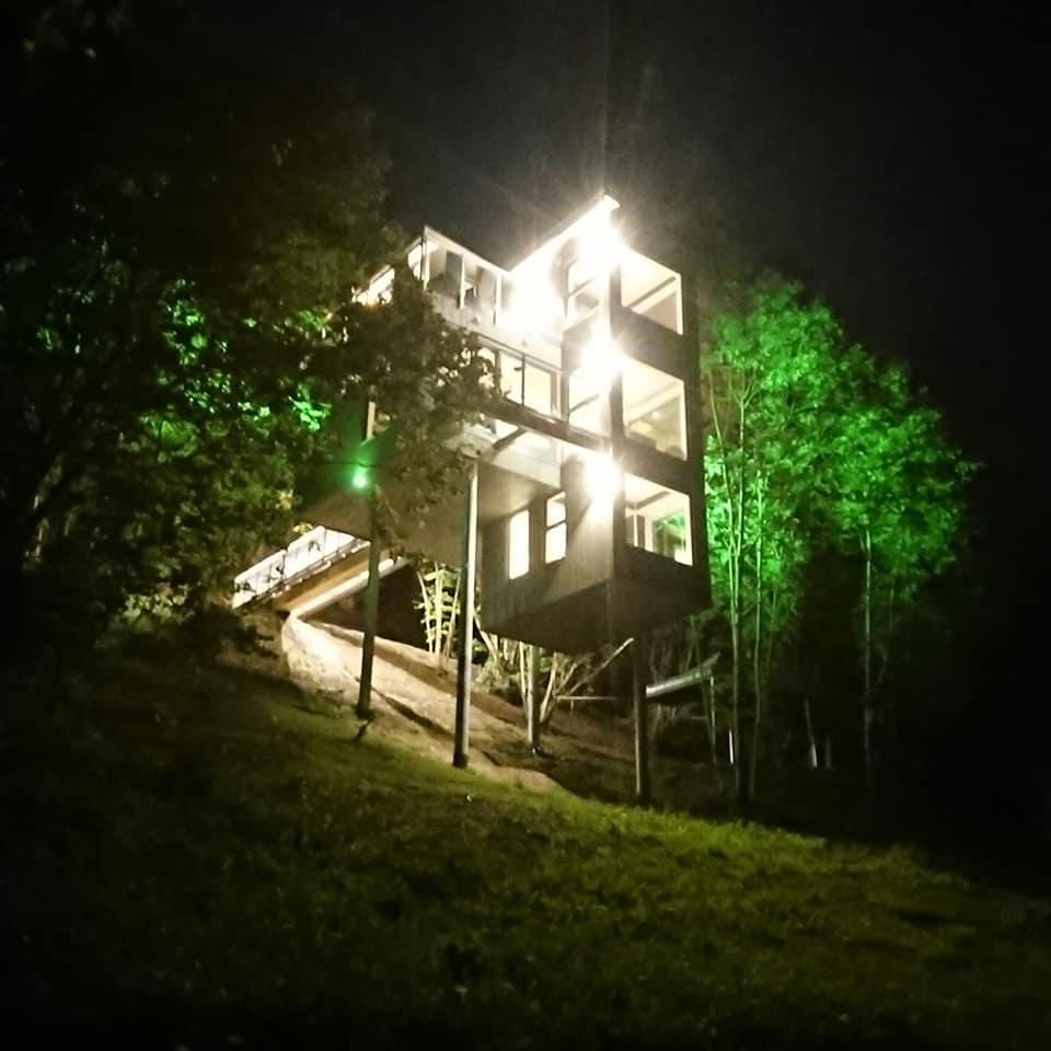 Hardanger Panorama Lodge lyser opp skogen om natta med grøn belysning.