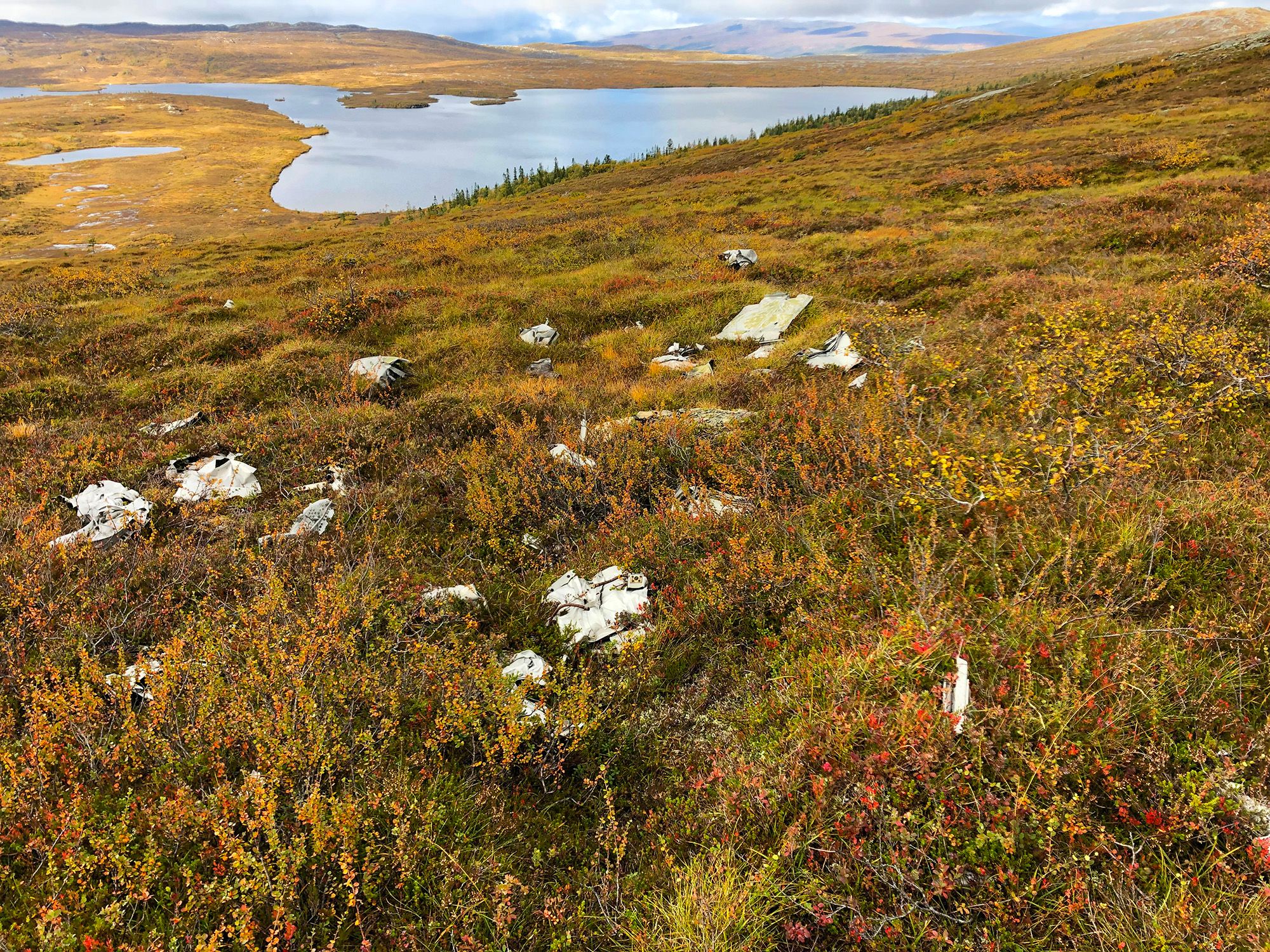 Snåsa Plukktjønnfjellet tur 2021 Foto Linn Marita Larsson (13)