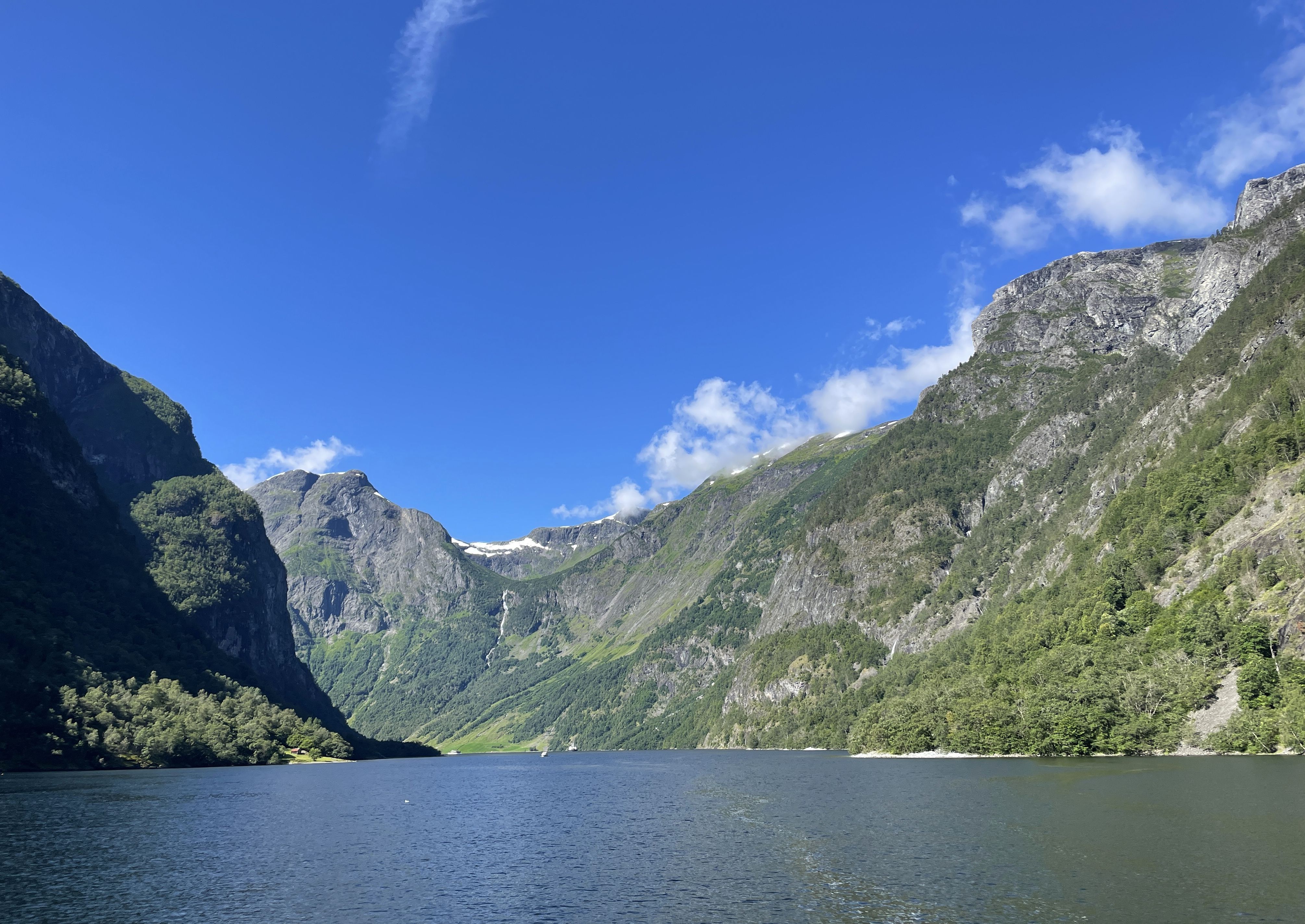 See the fjords - Nærøyfjord
