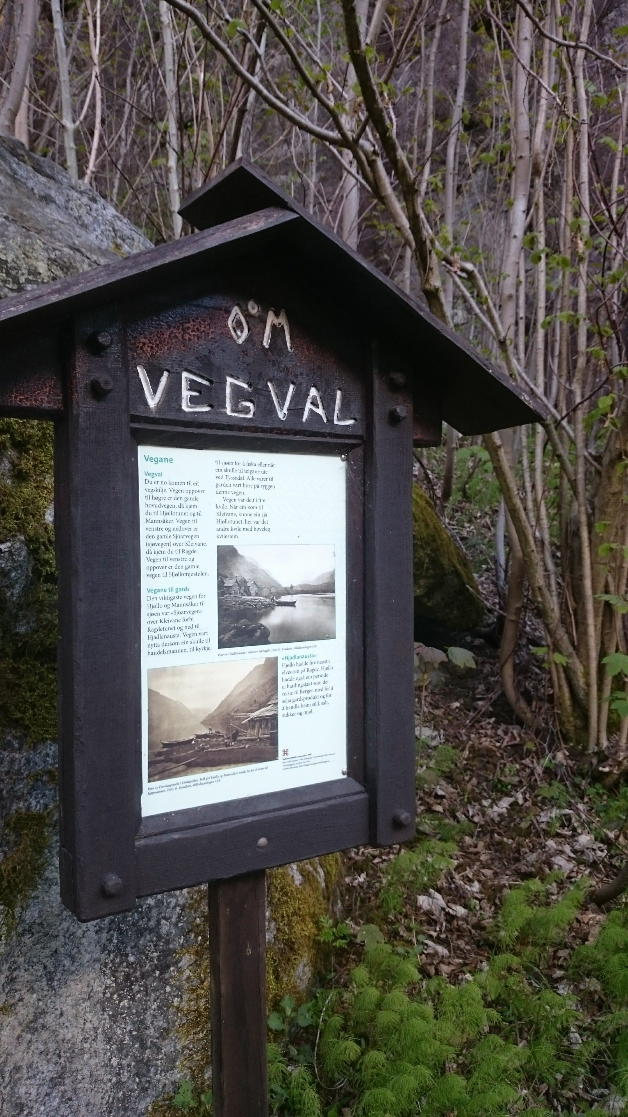 Informasjonstavle “Vegval” langs kulturstien Hjøllo–Mannsåker, med bilete og tekst om gamle ferdselsvegar.