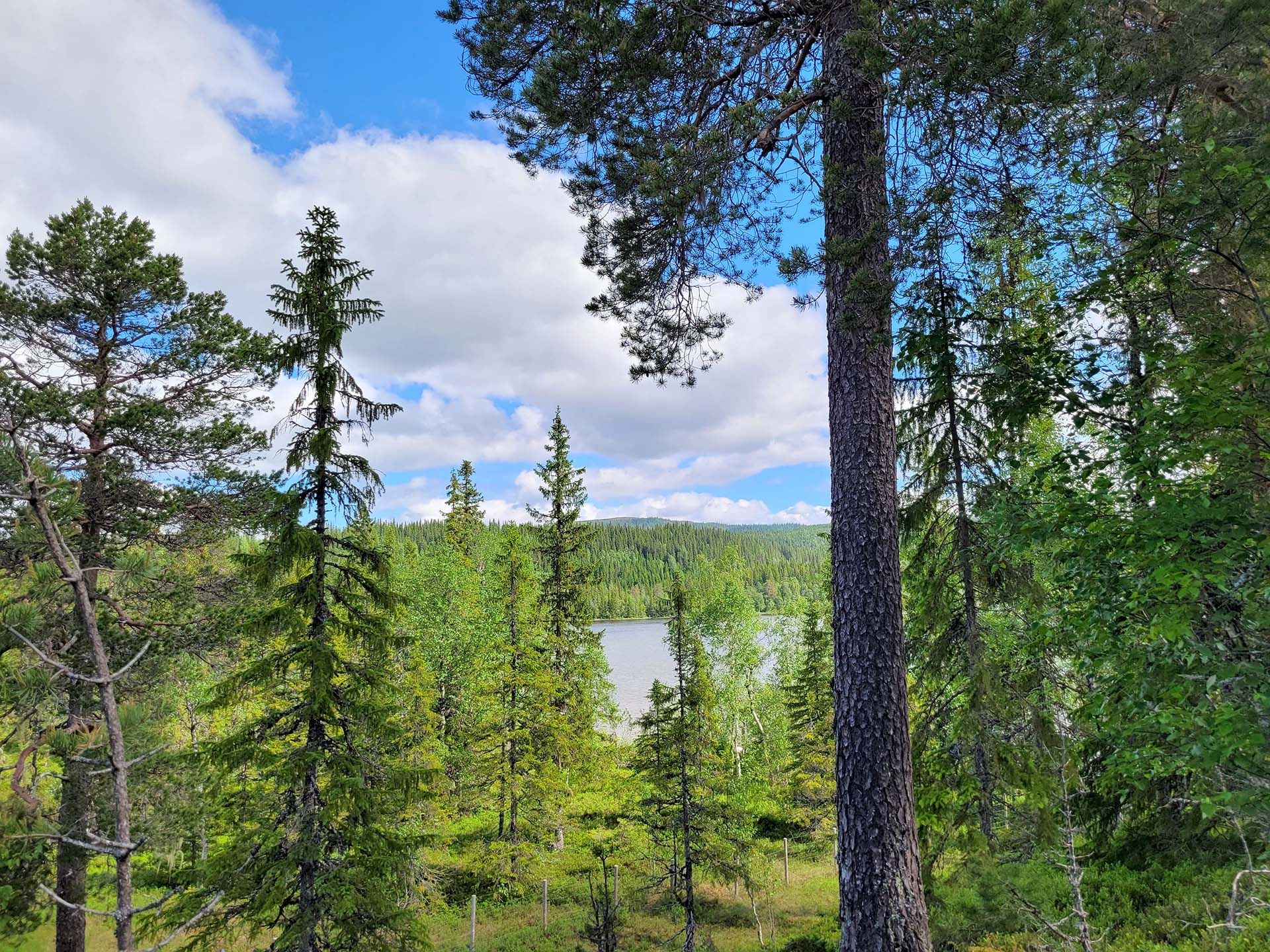 Utsikt til Sjysjøen