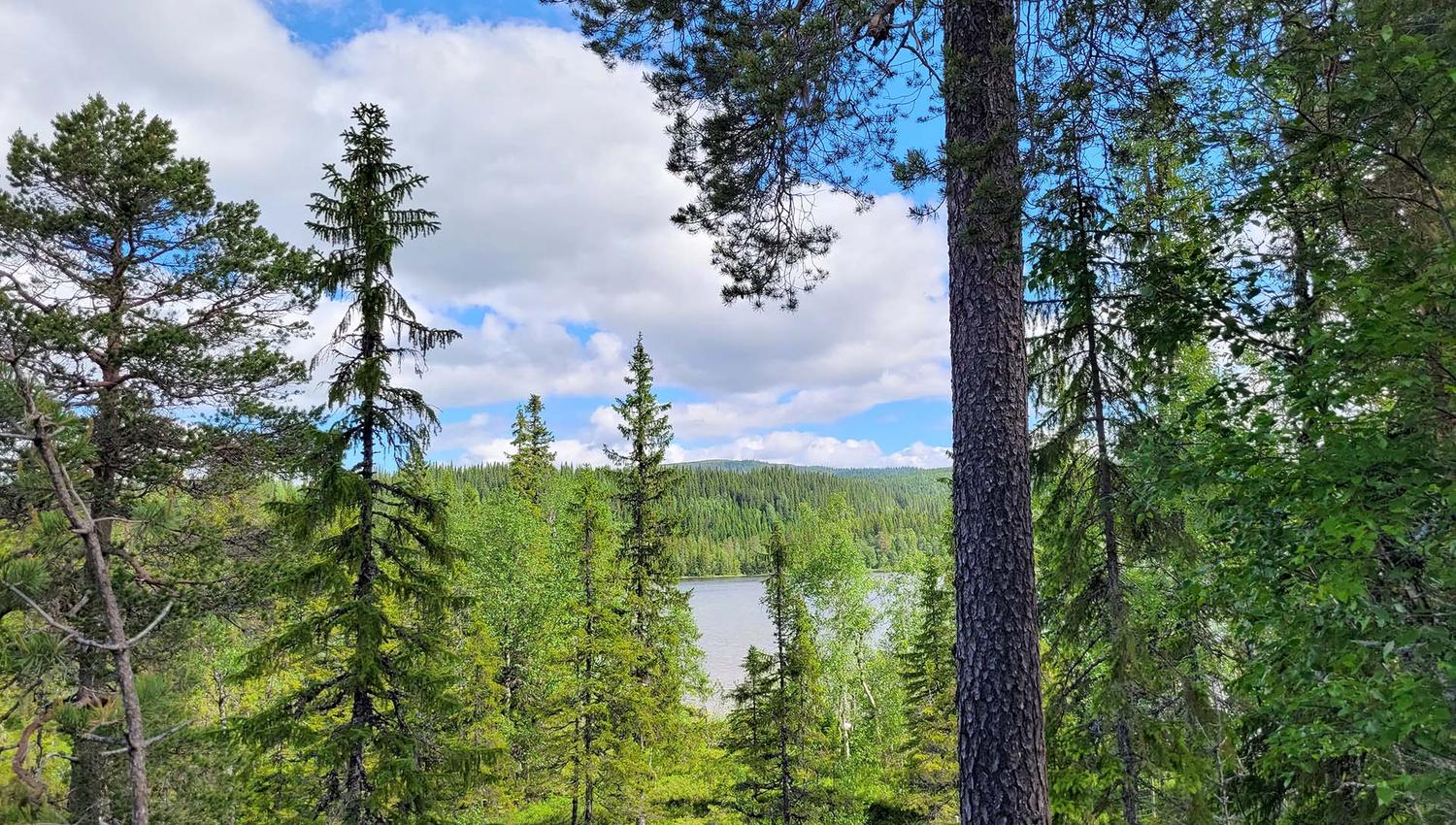 Utsikt til Sjysjøen