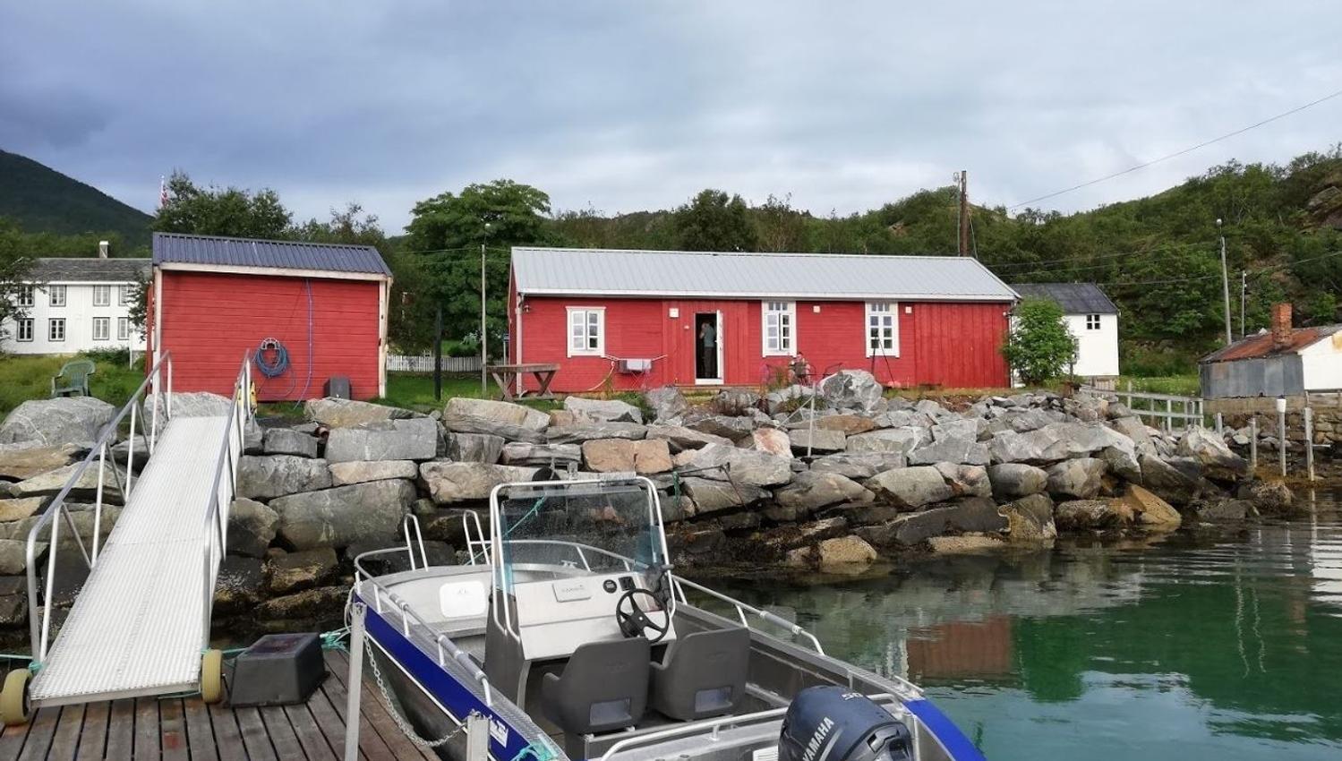 brygge med båter.