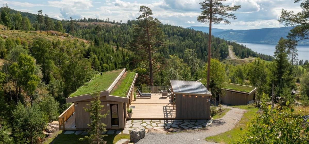 Hyttebygg i tre omgitt av skog, med utsikt mot et fjell- og vannlandskap.