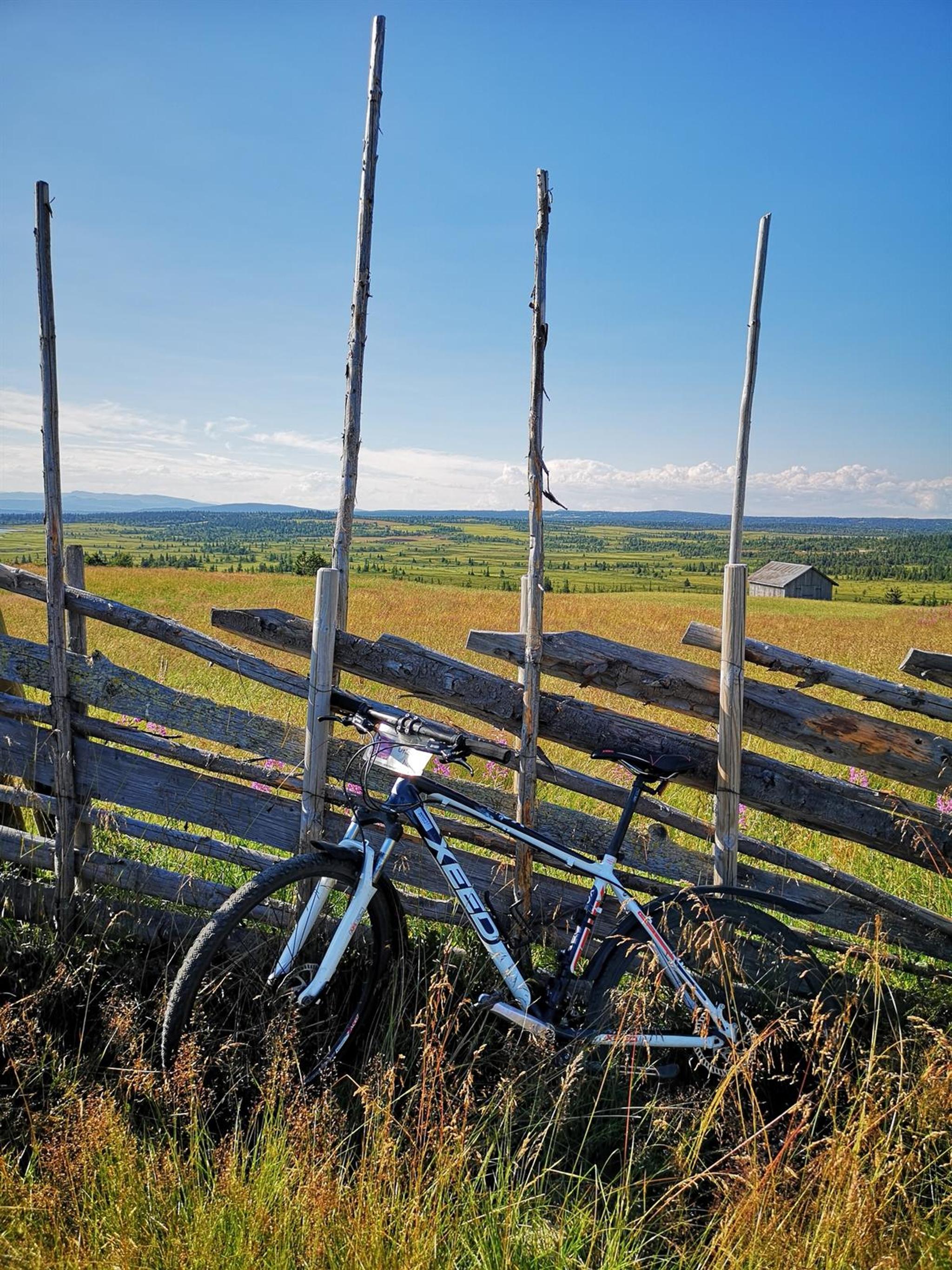 IMG_20180721_173701_resized_20190708_042501031