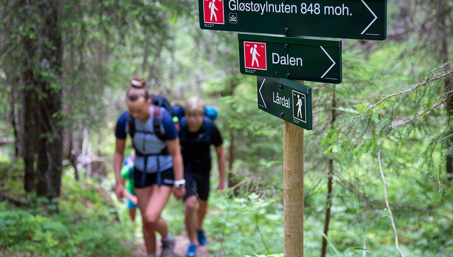 Lårdalstigen på Dalen