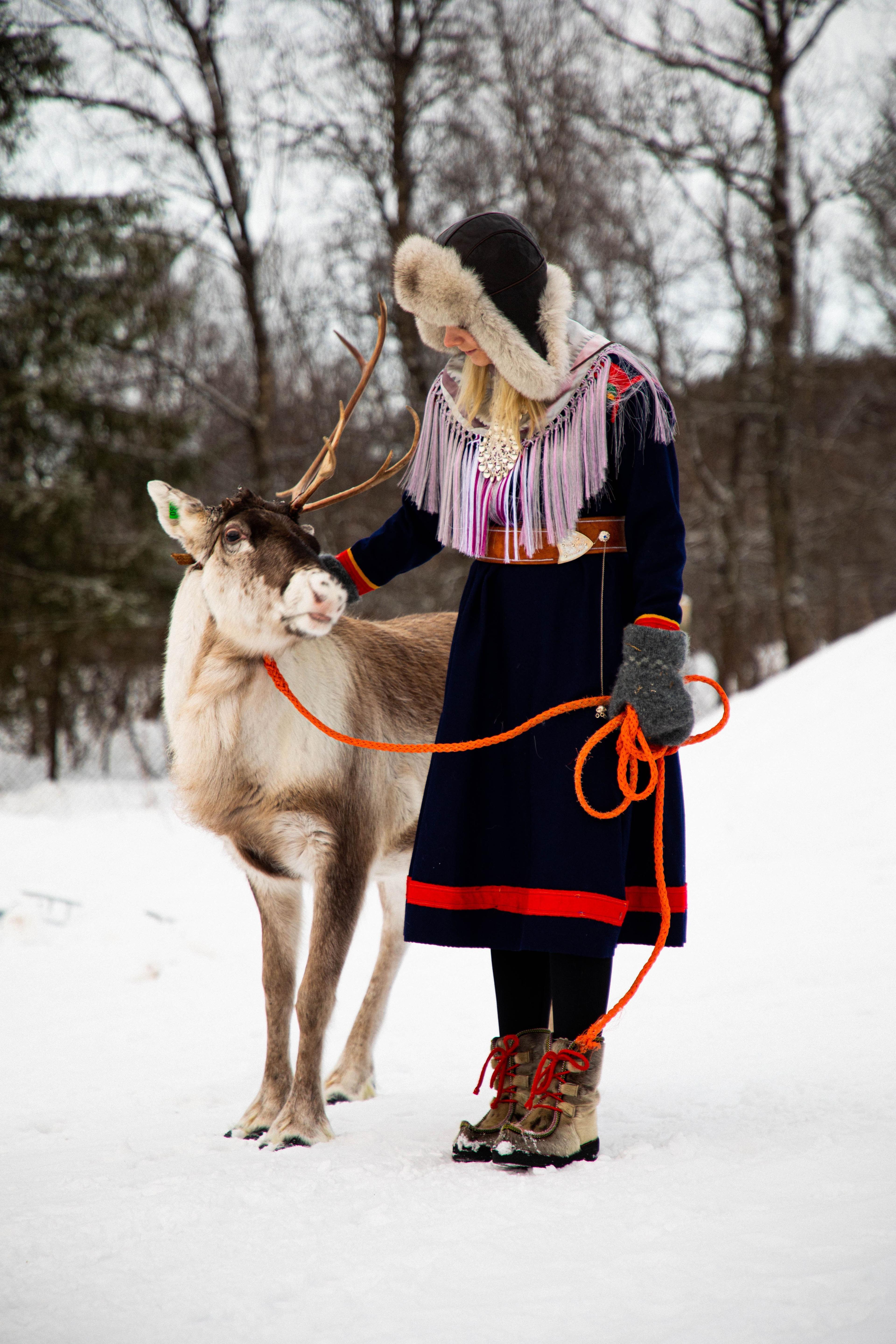 Reinsdyr, kultur og arktiske tradisjoner i Harstad