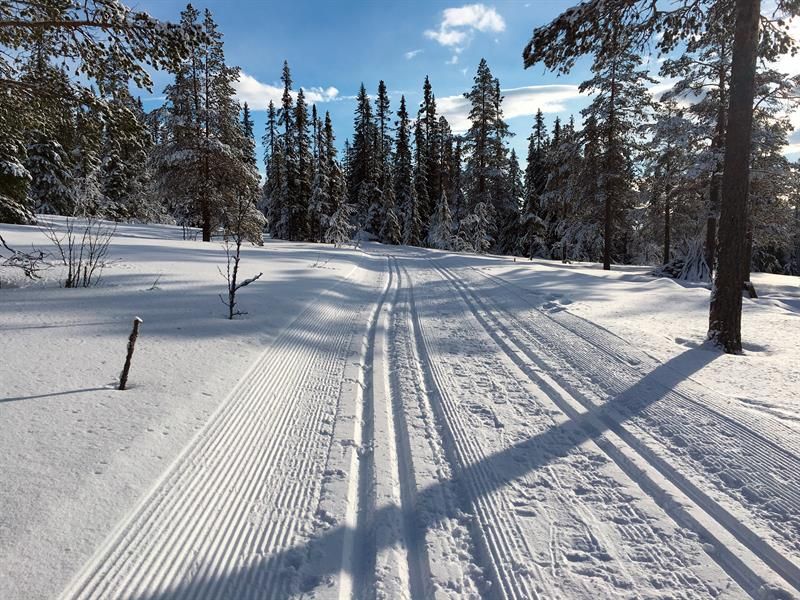 Skiløype. Foto