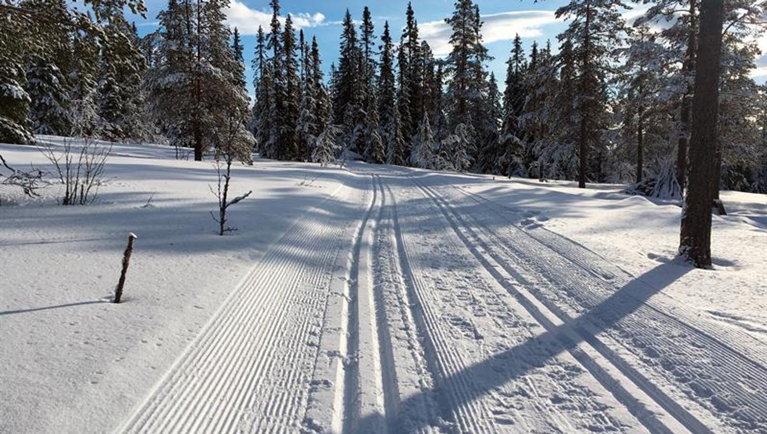Skiløype. Foto