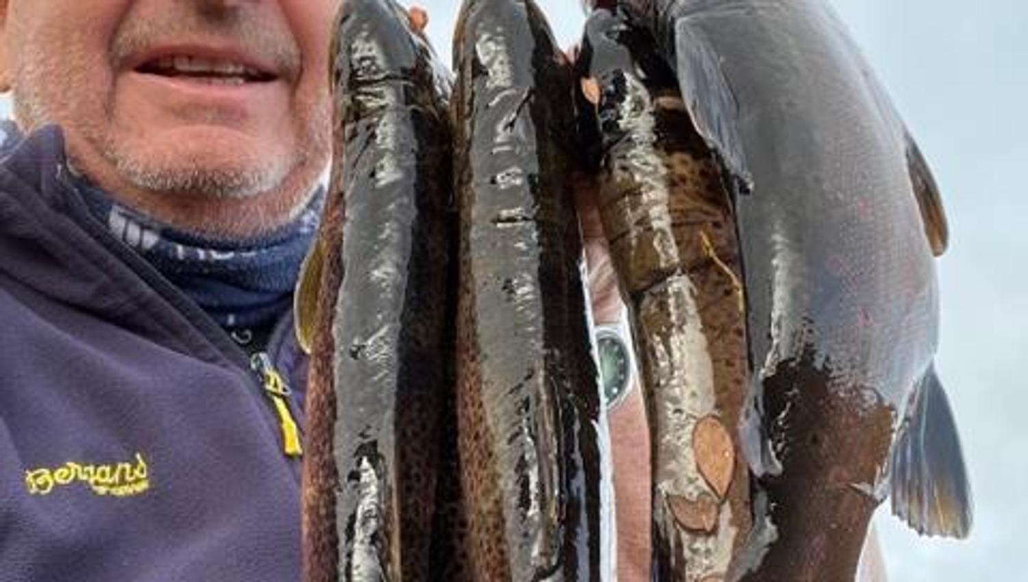 Fiske på Rauland