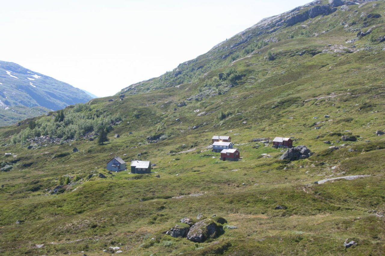 Samdal, Sveinung Selsvik