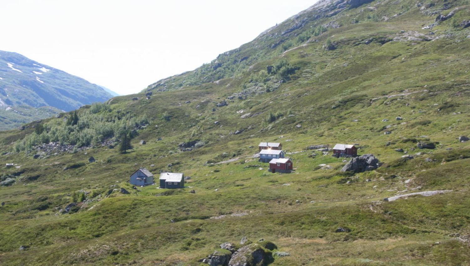 Samdal, Sveinung Selsvik