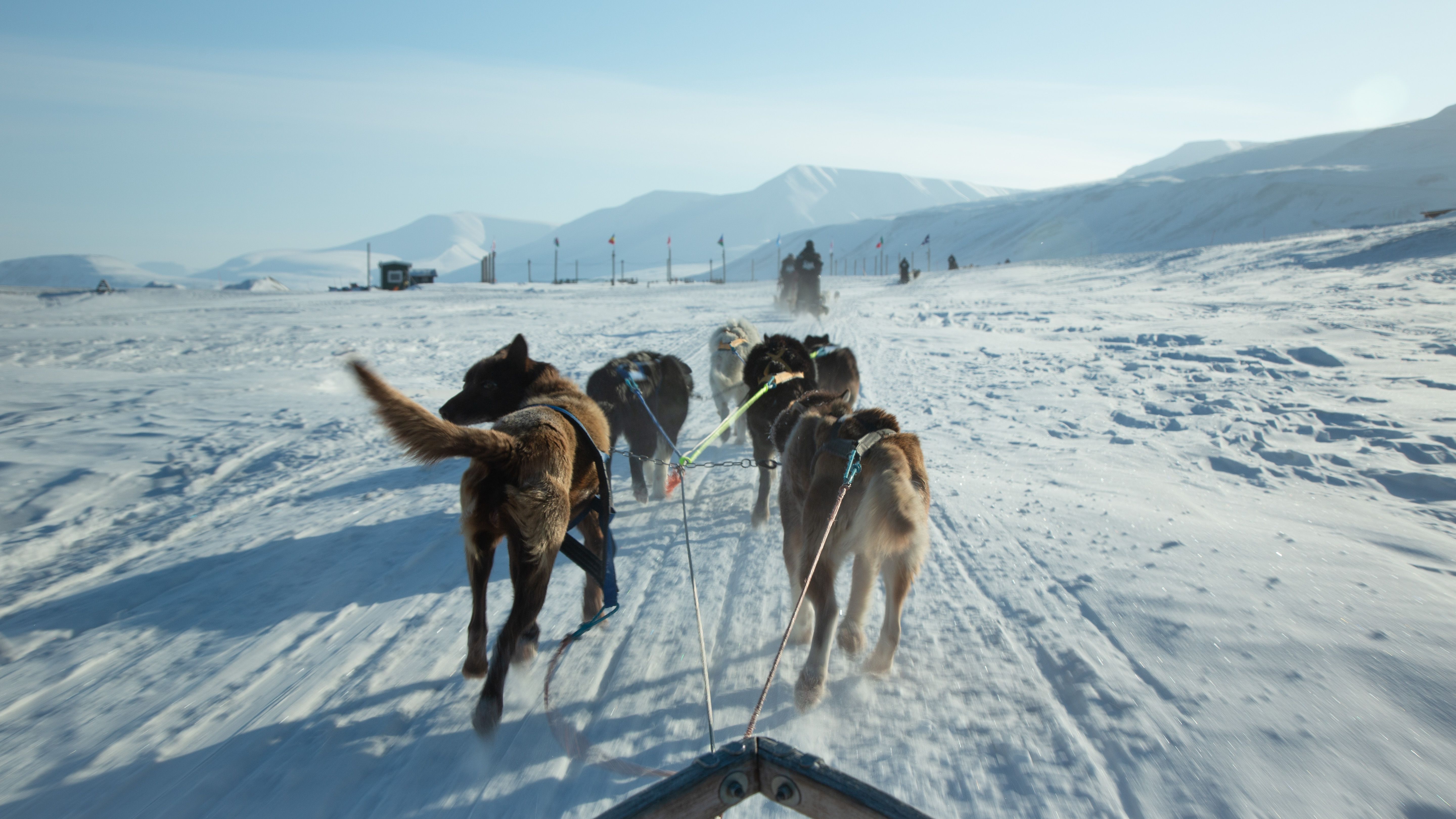 Hundespann på tur hjem til hundegården som synes i bakgrunnen