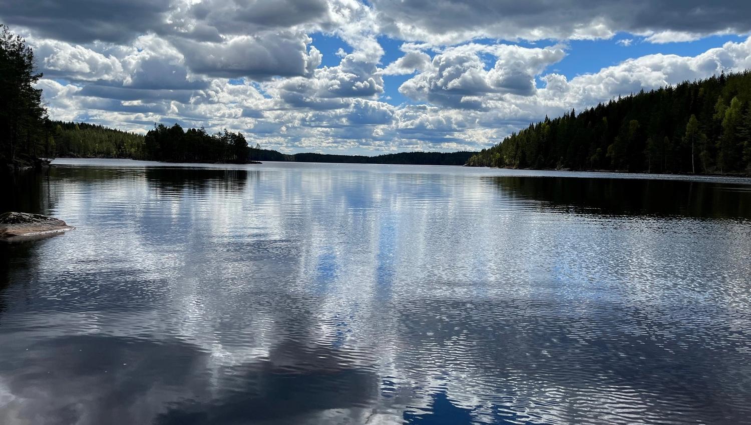 utsikt over vannet