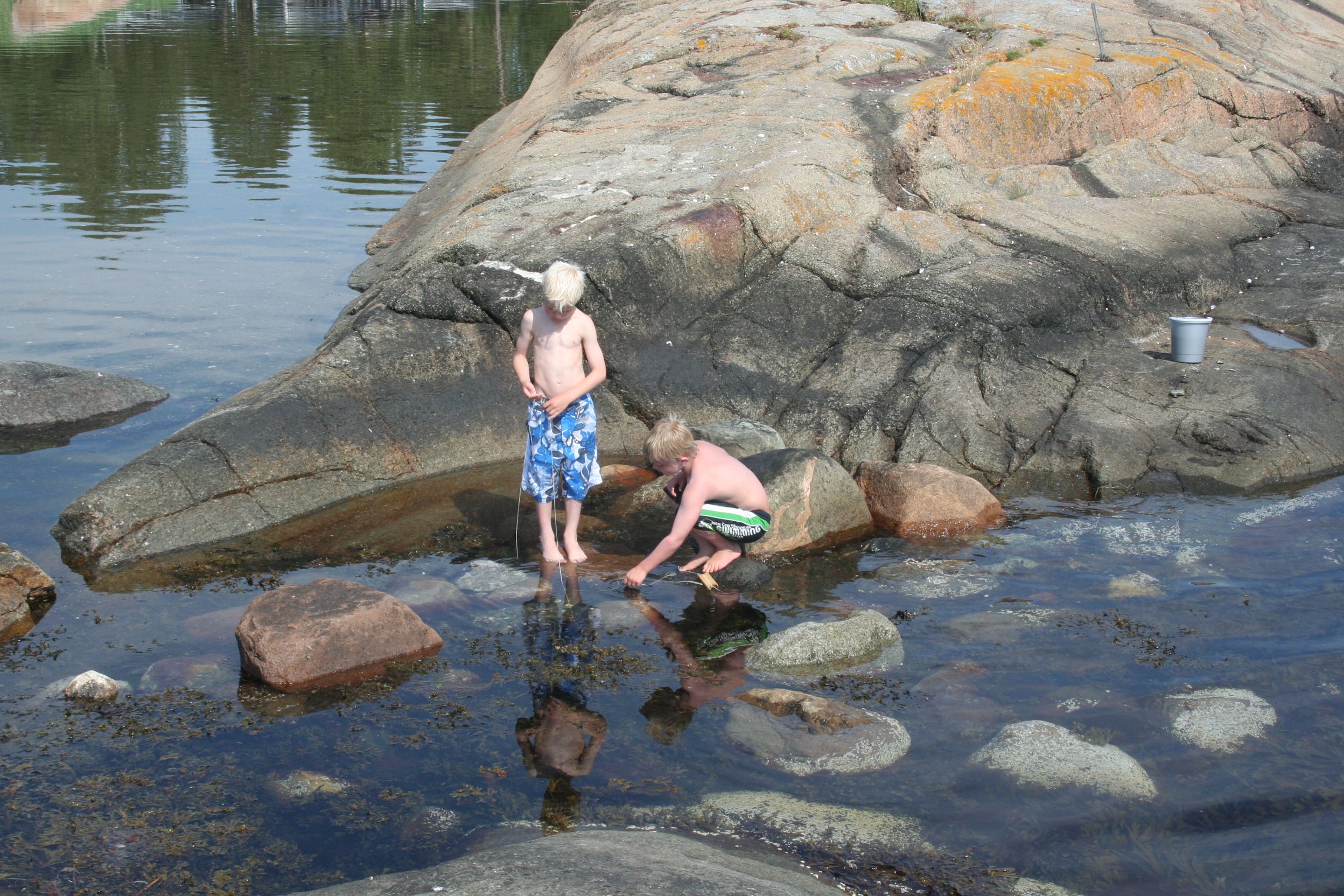 Two boys are looking for crabs in the water