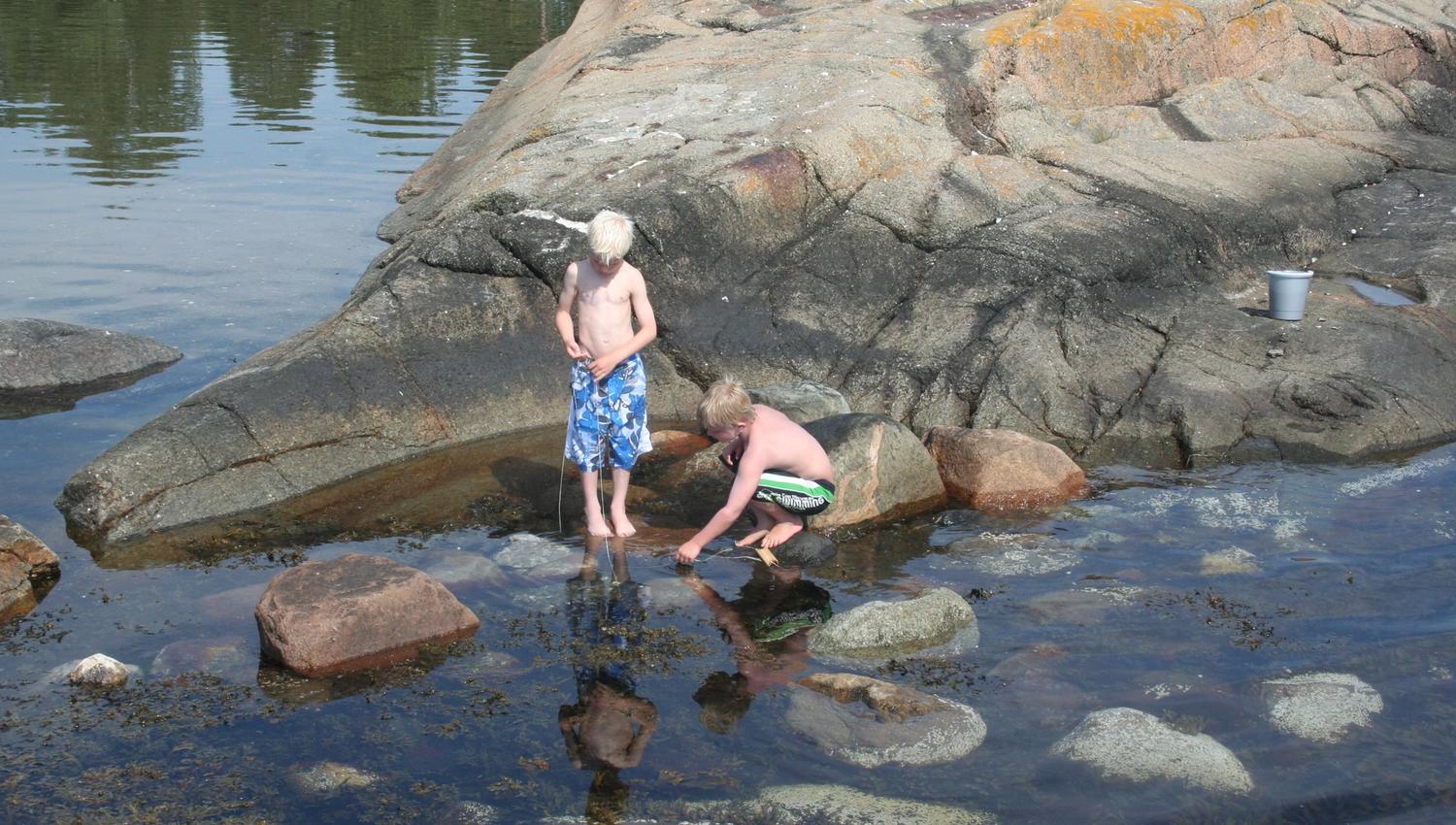 Two boys are looking for crabs in the water