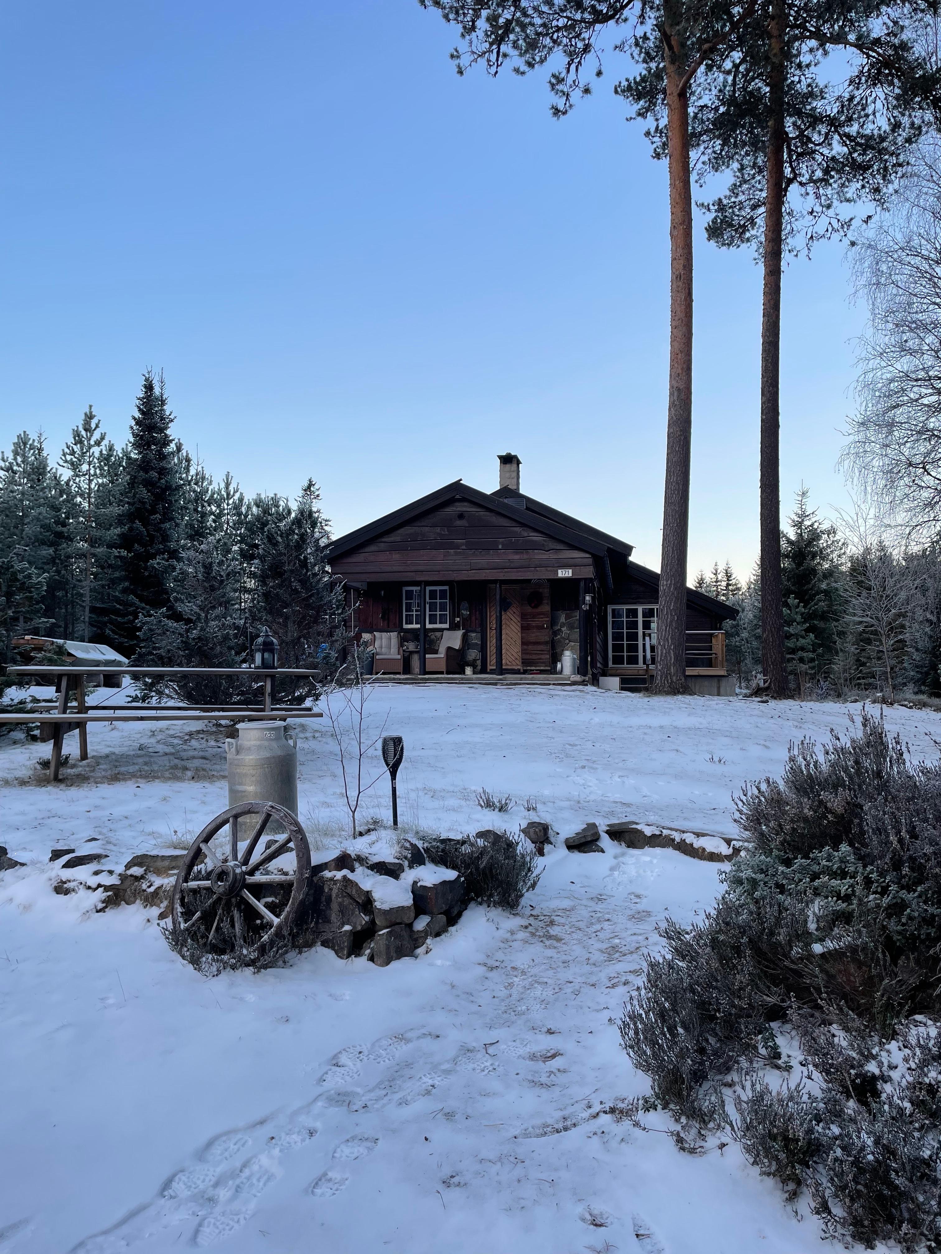 brun hytte i skogen med snø