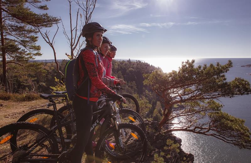 group of cyclists look out towards the garden on the Skjærgårdsruta cycle route along the Telemark coast 