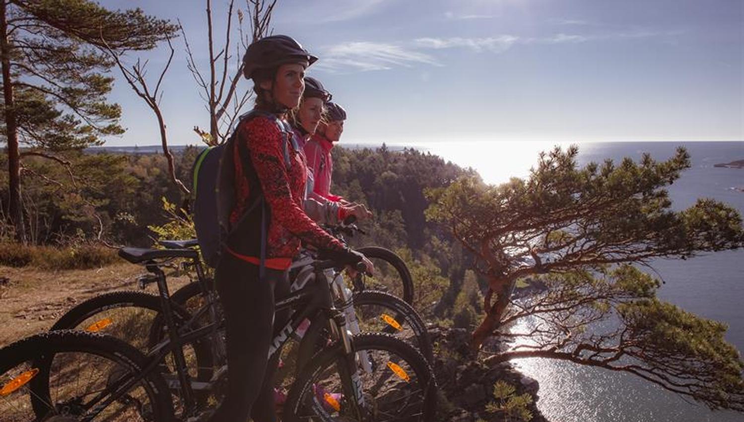group of cyclists look out towards the garden on the Skjærgårdsruta cycle route along the Telemark coast
