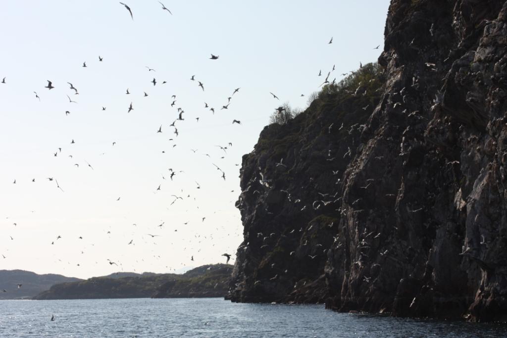 Viking Chieftain Tore Hunds Empire