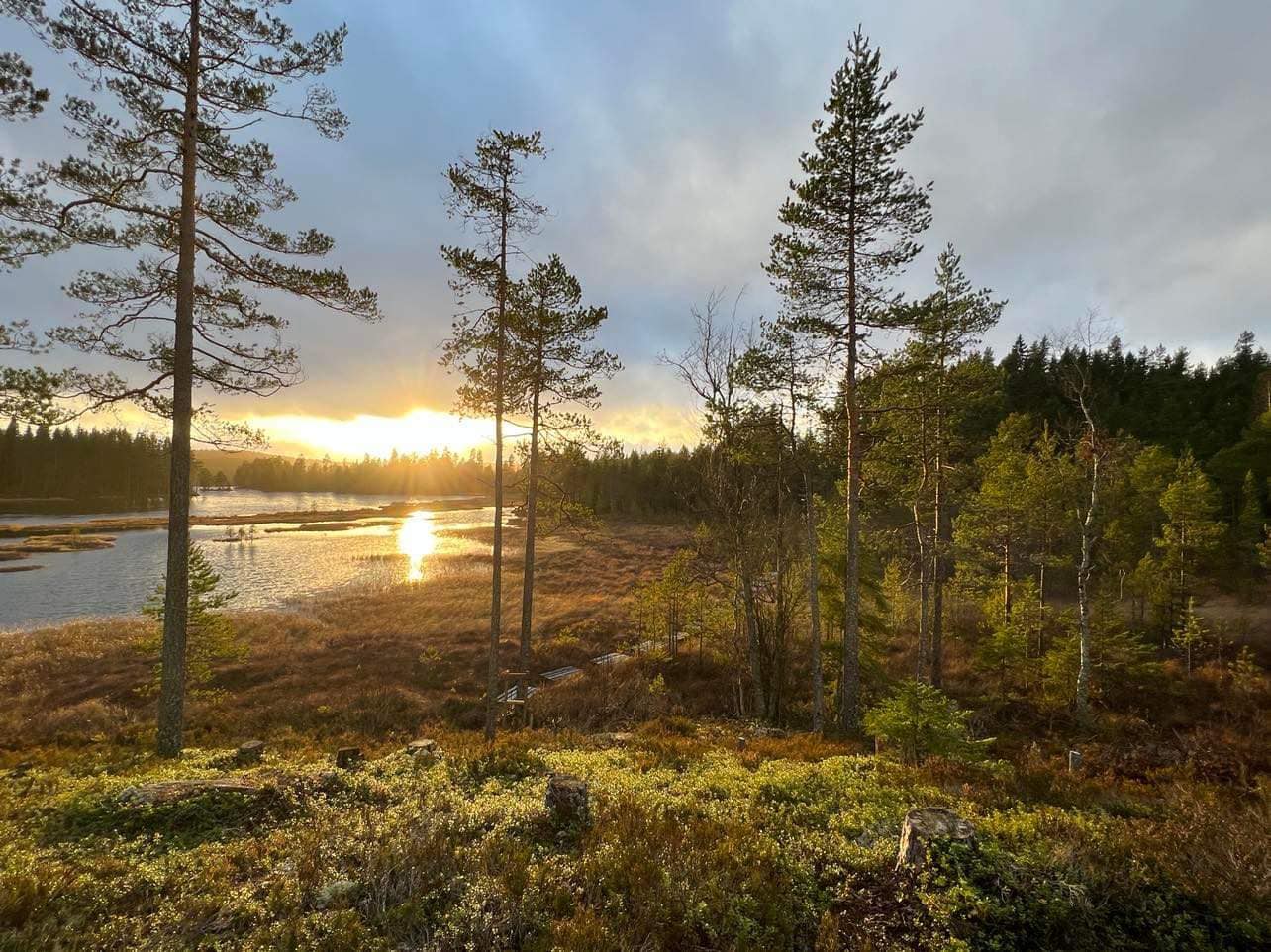 Hytte med utsikt