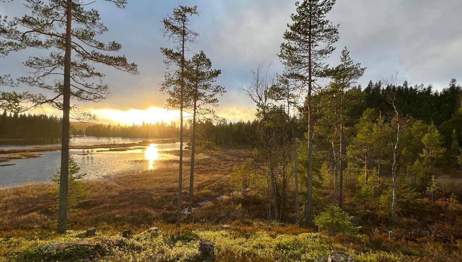 Hytte med utsikt