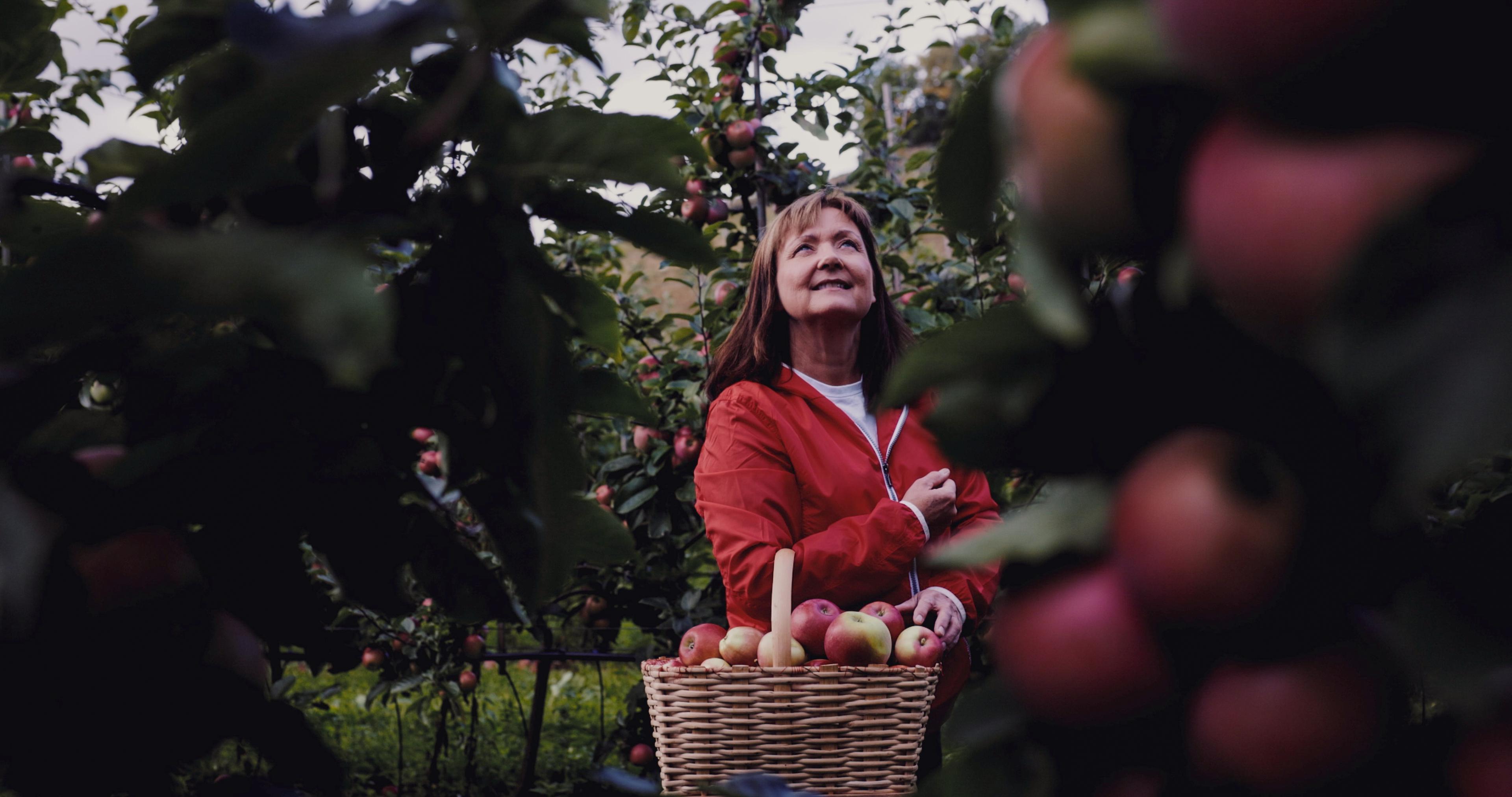 Cider tastings at OmCider in Hjelmeland