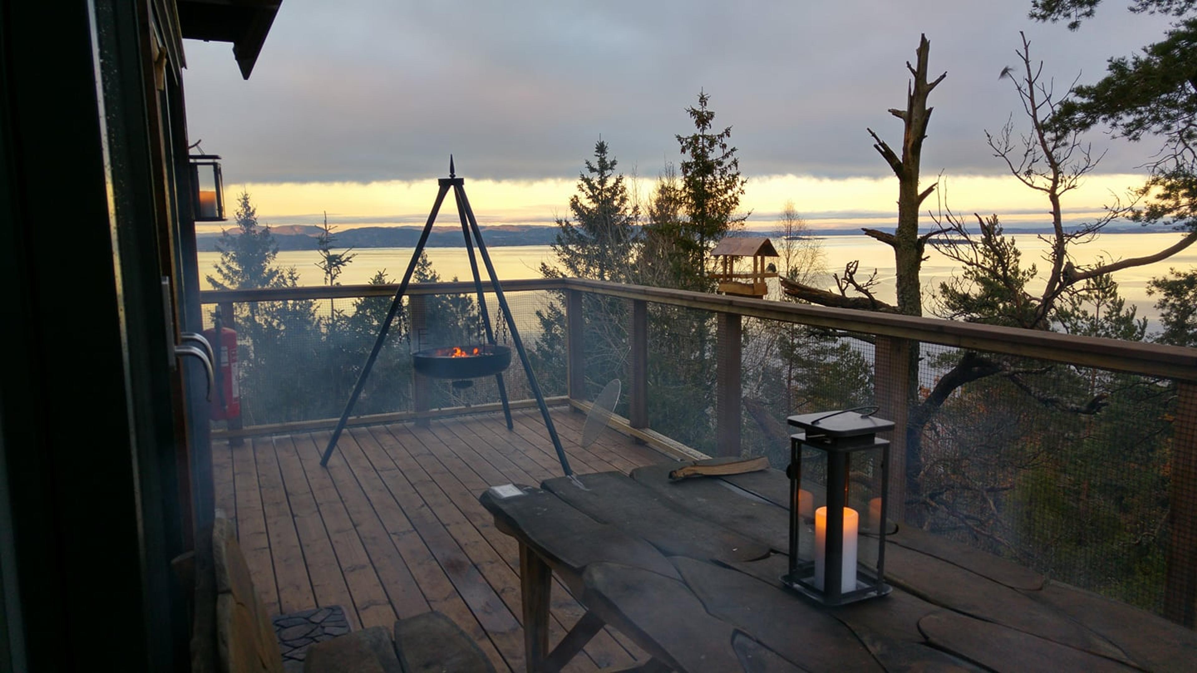 Tretopphytter Oslofjord