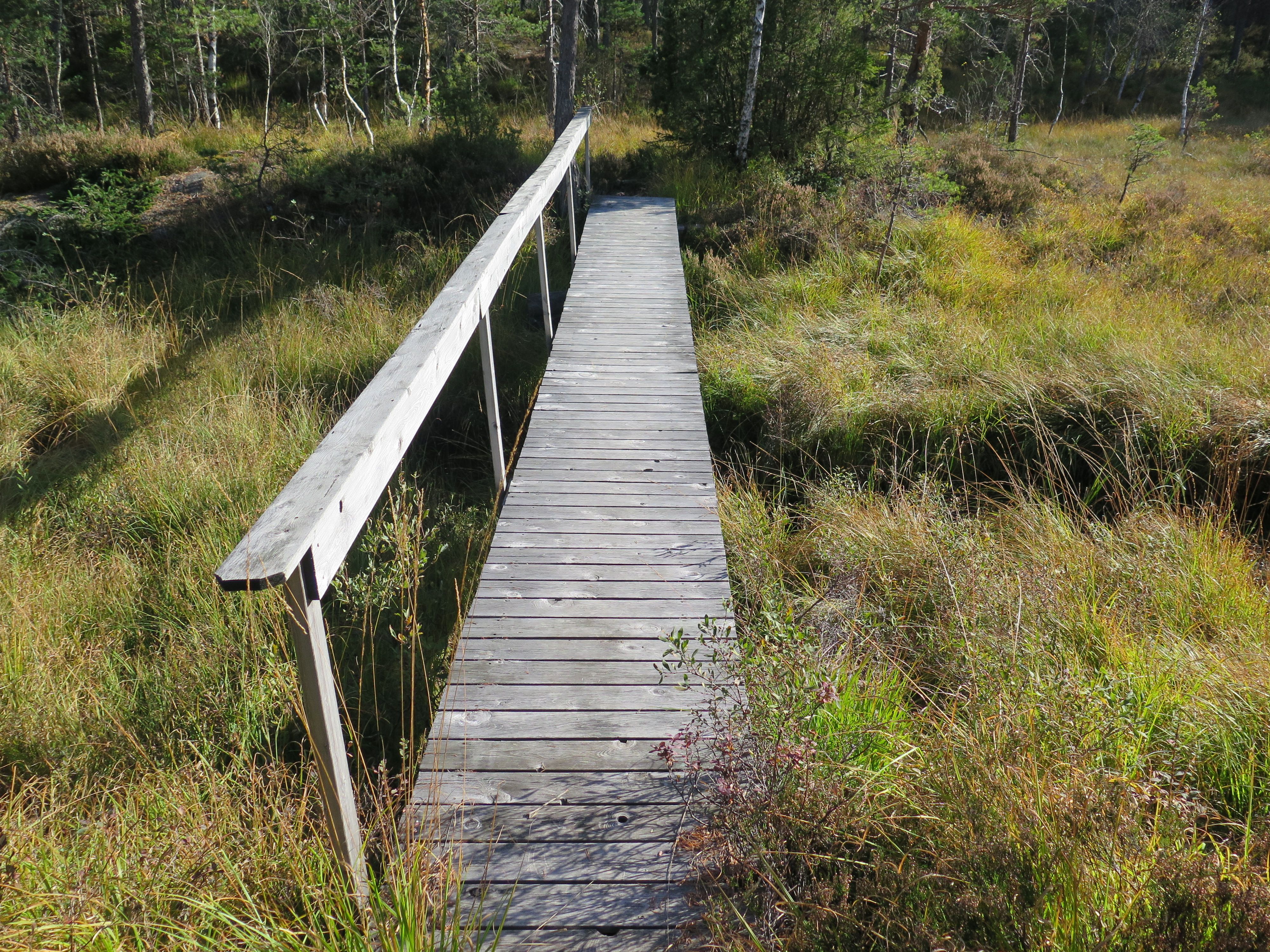 Krigsminnet på Vierli
